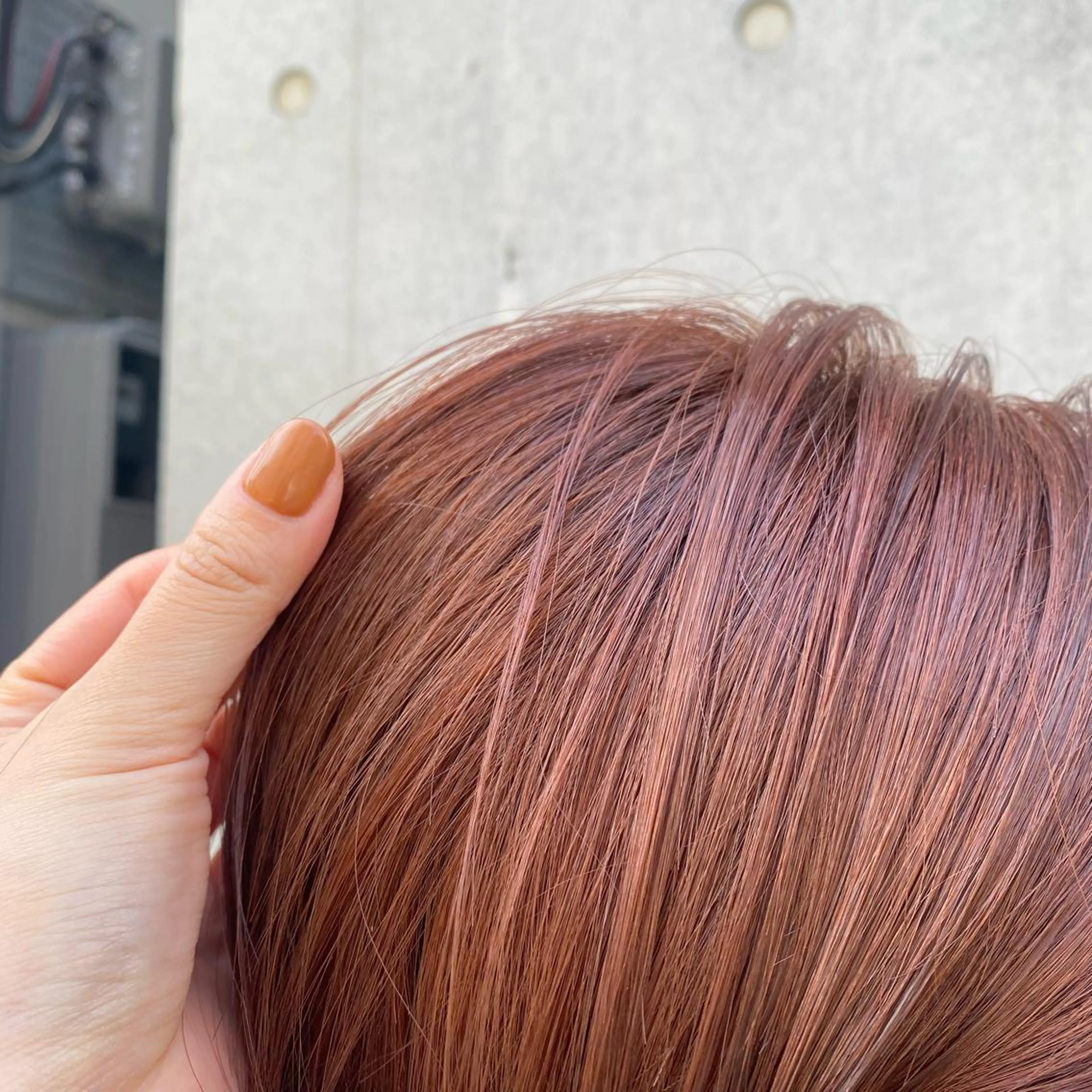 ショート カラー 🪭risa 暖色/レイヤー🪭のヘアスタイル