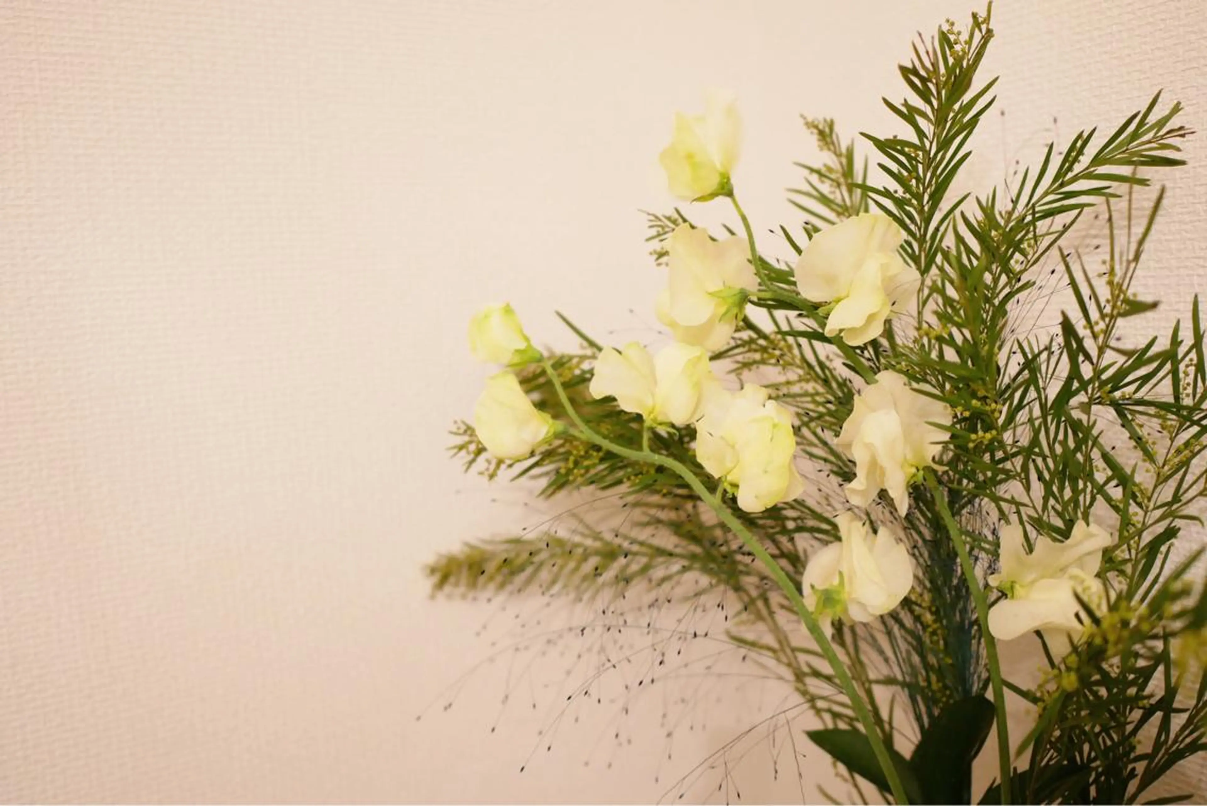 セミロング カラー パーマ ヘアアレンジ メンズ キッズ ネイル マツエク・マツパ ニキビ跡専門サロン Ａｉｎａのエステ・リラクイメージ