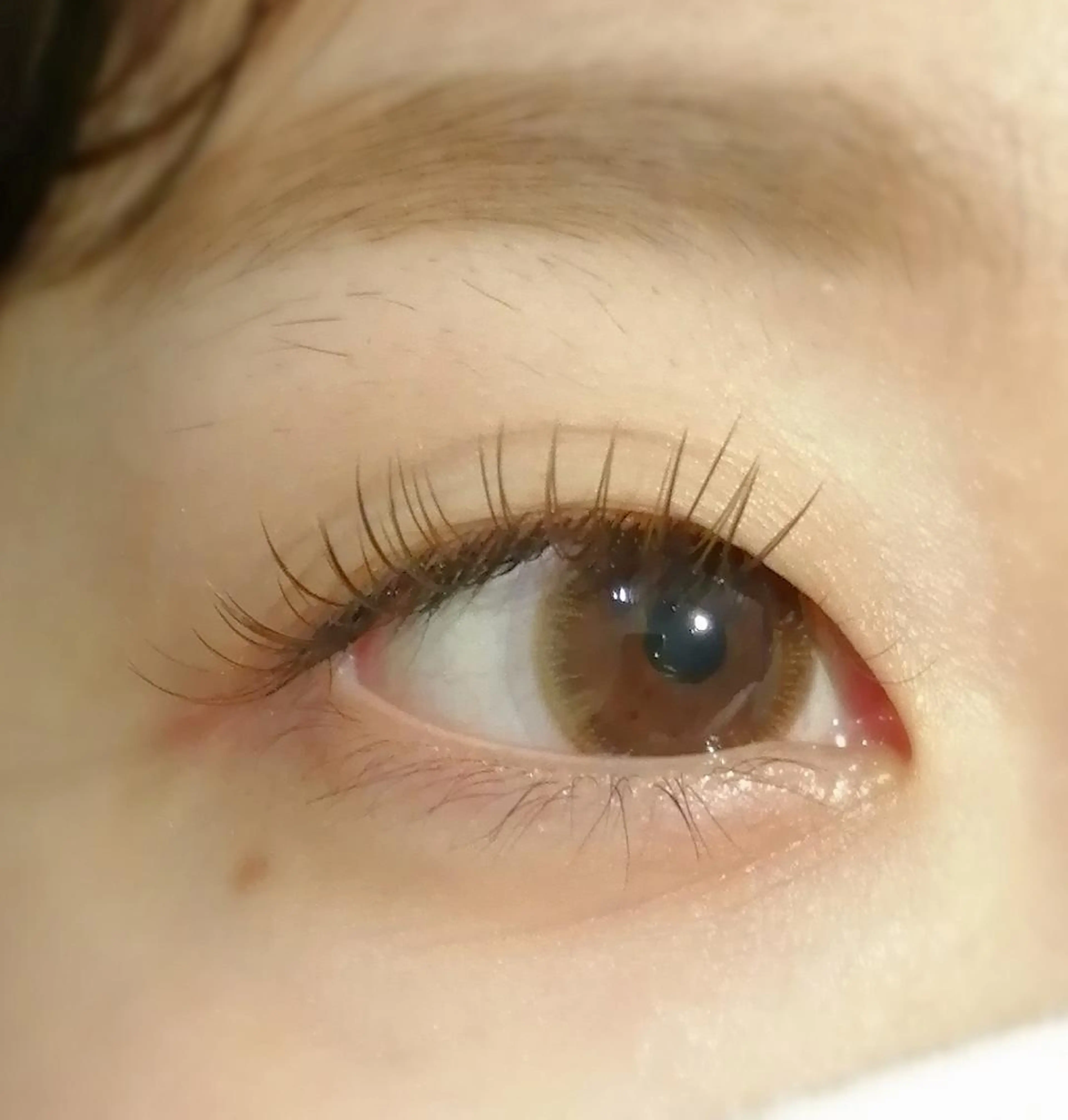 カラー マツエク・マツパ ブラウンカラー カラーマツエク フラットラッシュ マツエク Rosie ロージー 渋谷所属・ROSIE yunaのマツエク・マツパデザイン