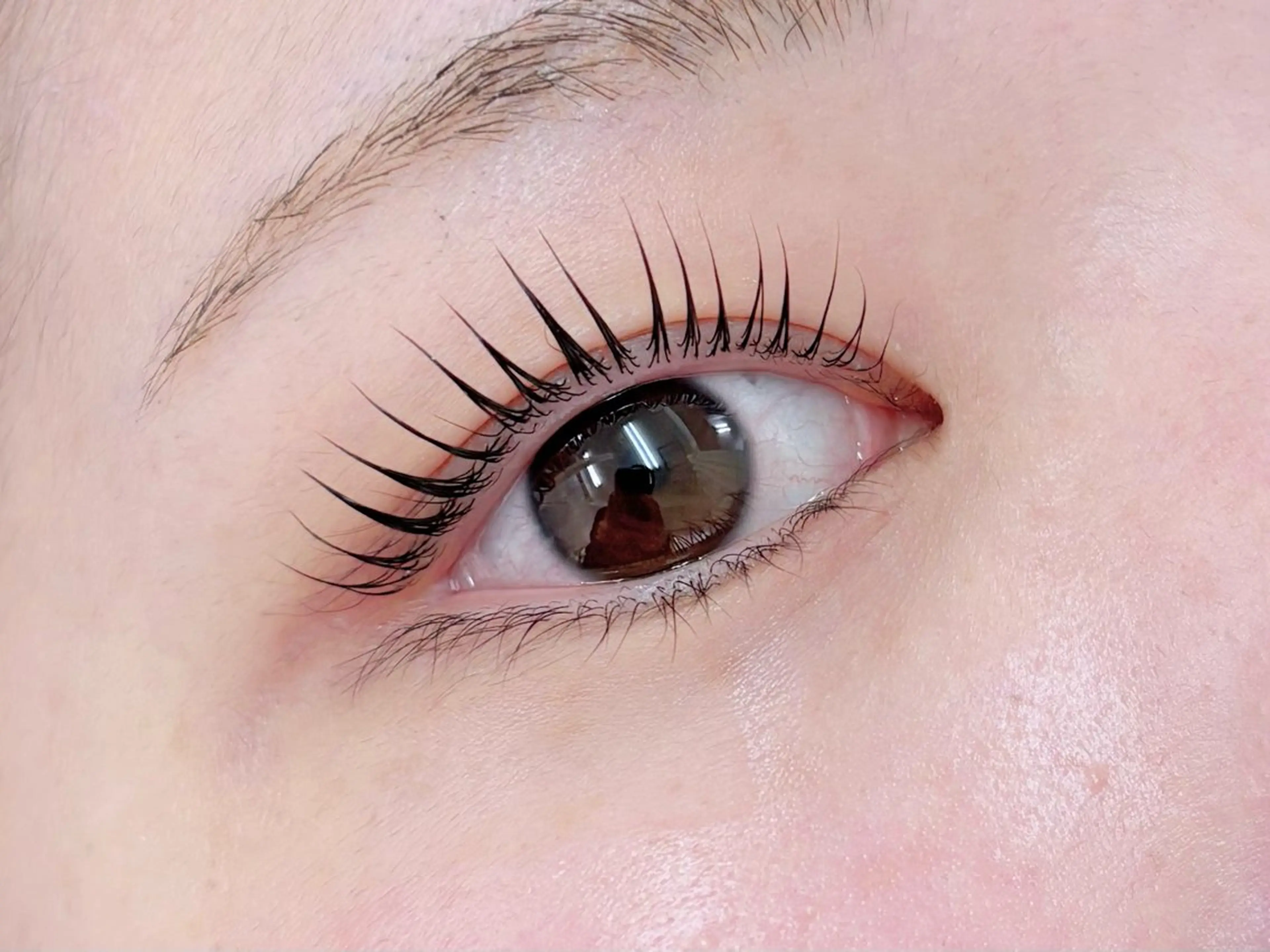 🎀パリジェンヌラッシュリフト（上）🎀の写真