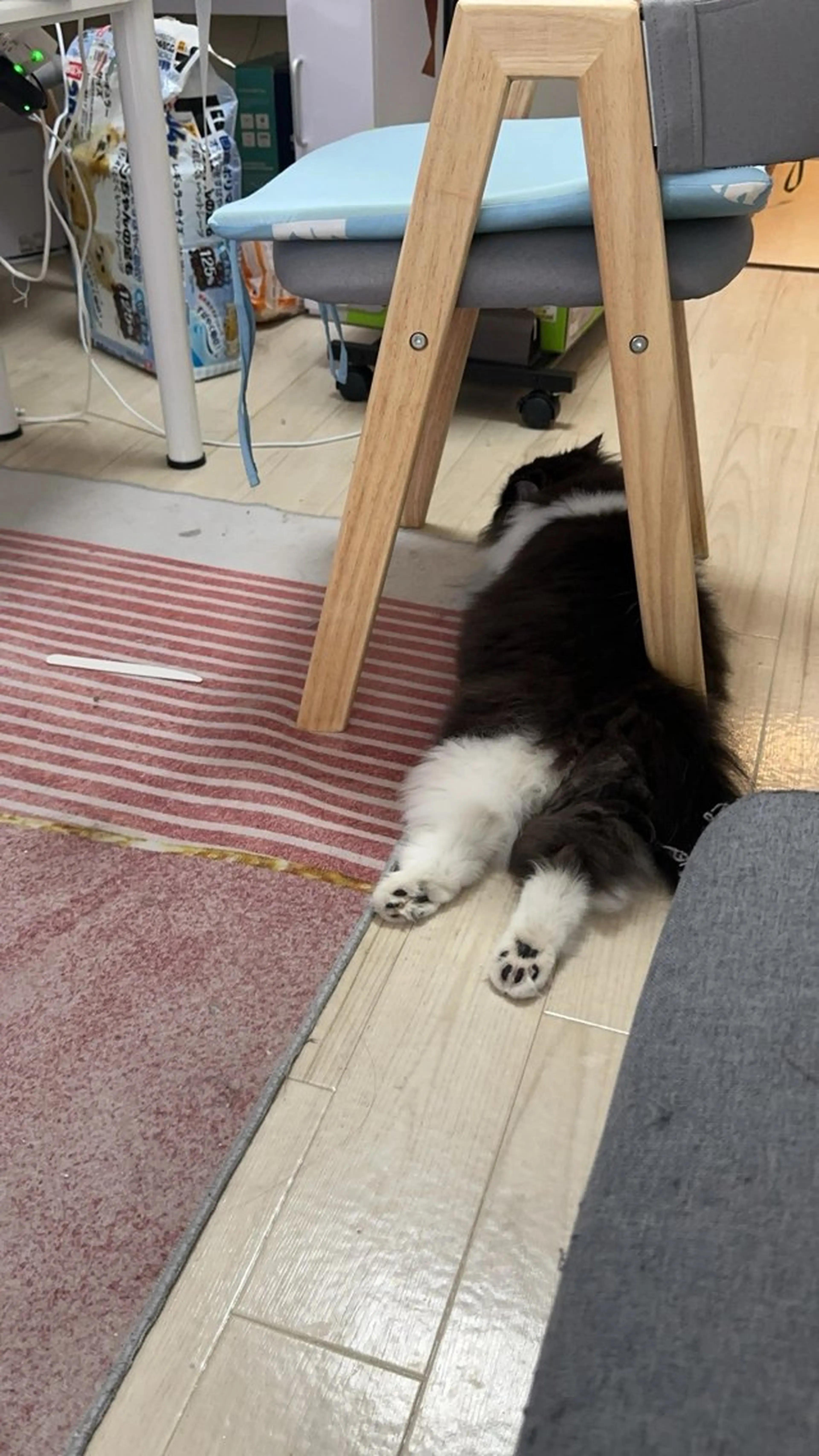 ネイル Eveネイル チップスカルプ専門店のネイルデザイン