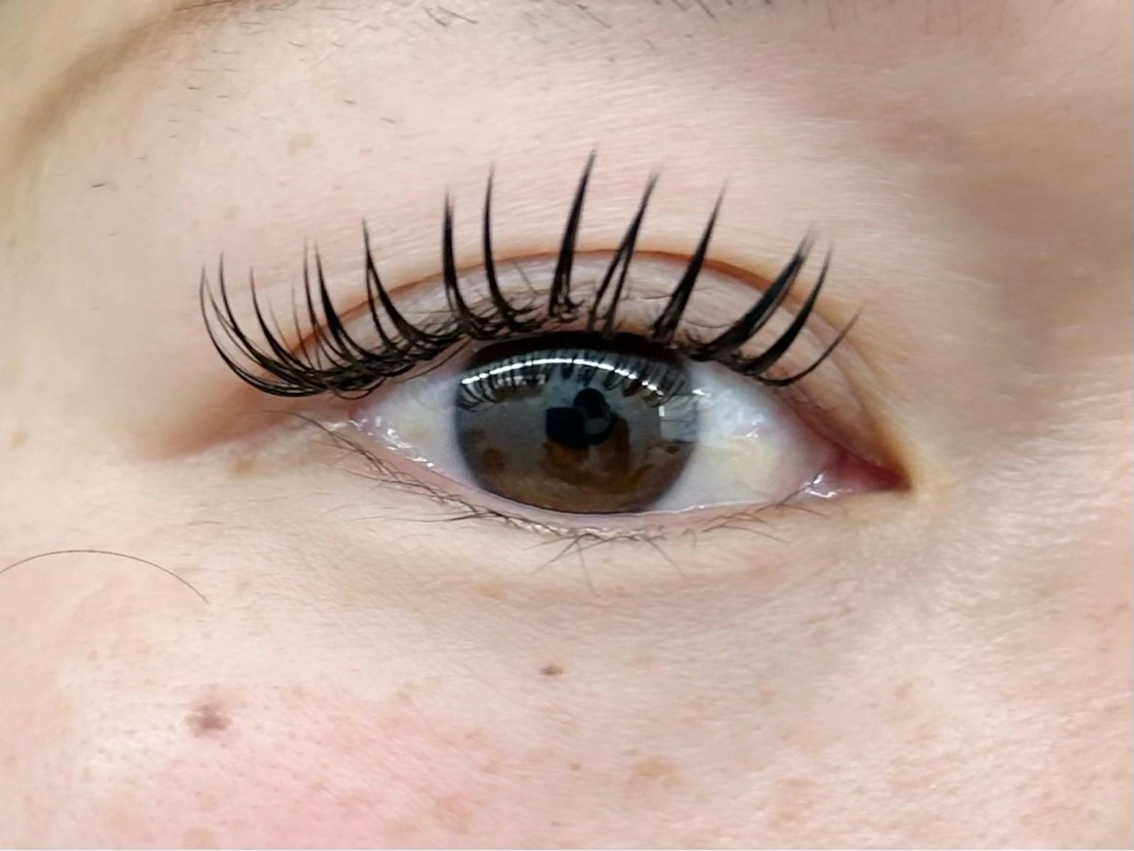 🎄12月限定︎︎🎄バインドロック60束¥5980・80束¥6980⚠️初回オフ無料・2回目以降+500円の写真