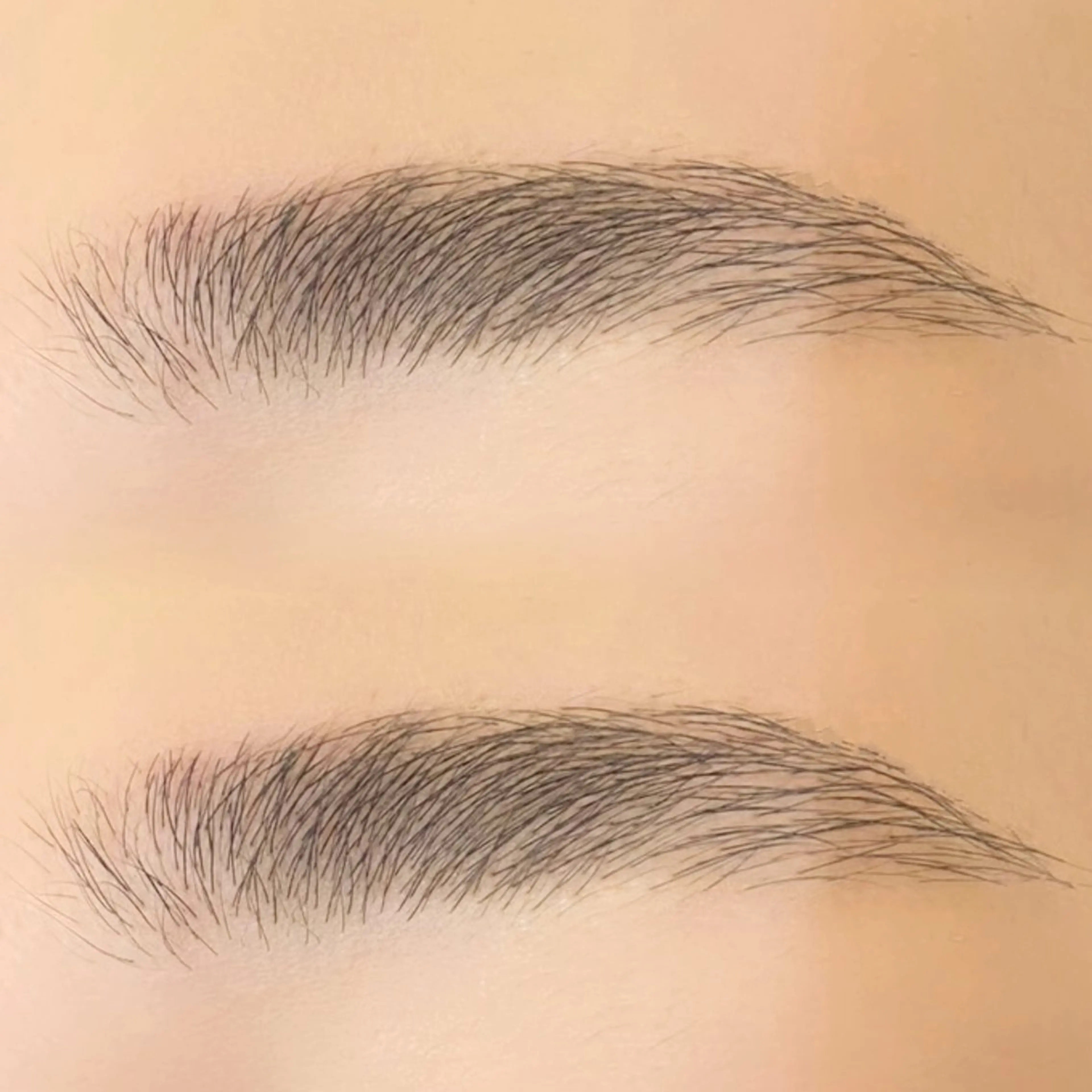 【メンズの方】アイブロウスタイリング🌷WAX脱毛🌷の写真