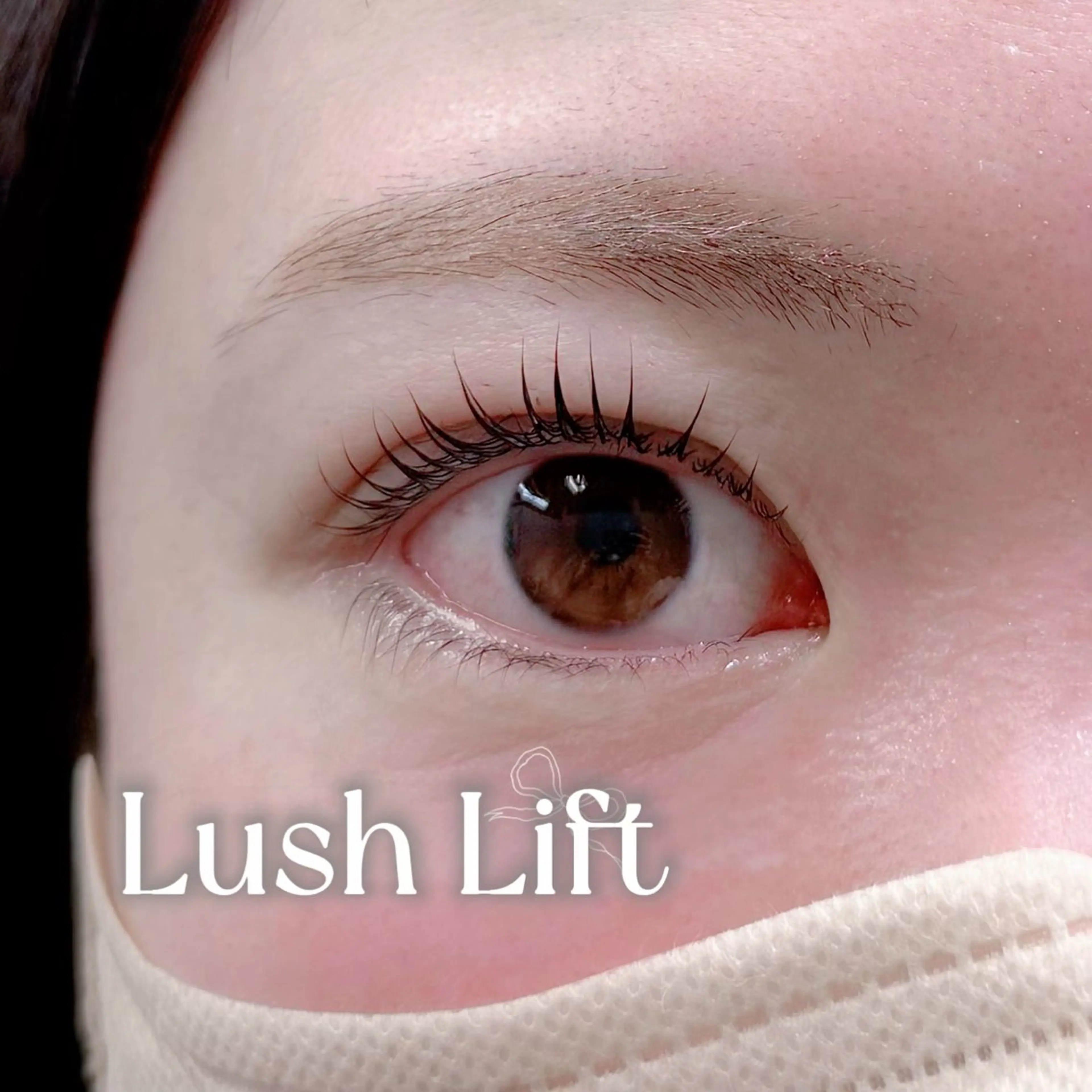 【2/22限定】 ラッシュリフト限定 練習モデルの写真