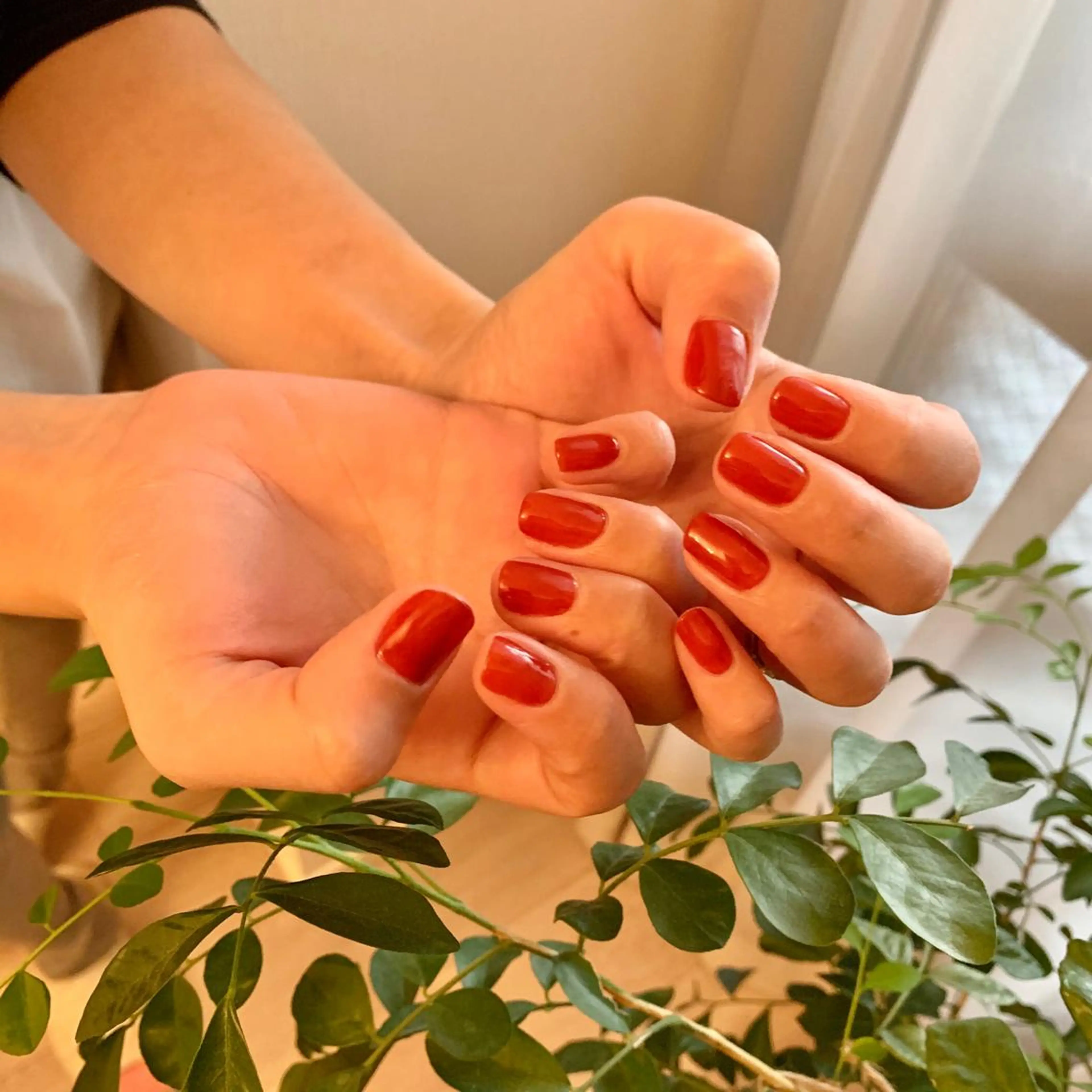 ネイル ワンカラーネイル 山本 理紗子のネイルデザイン