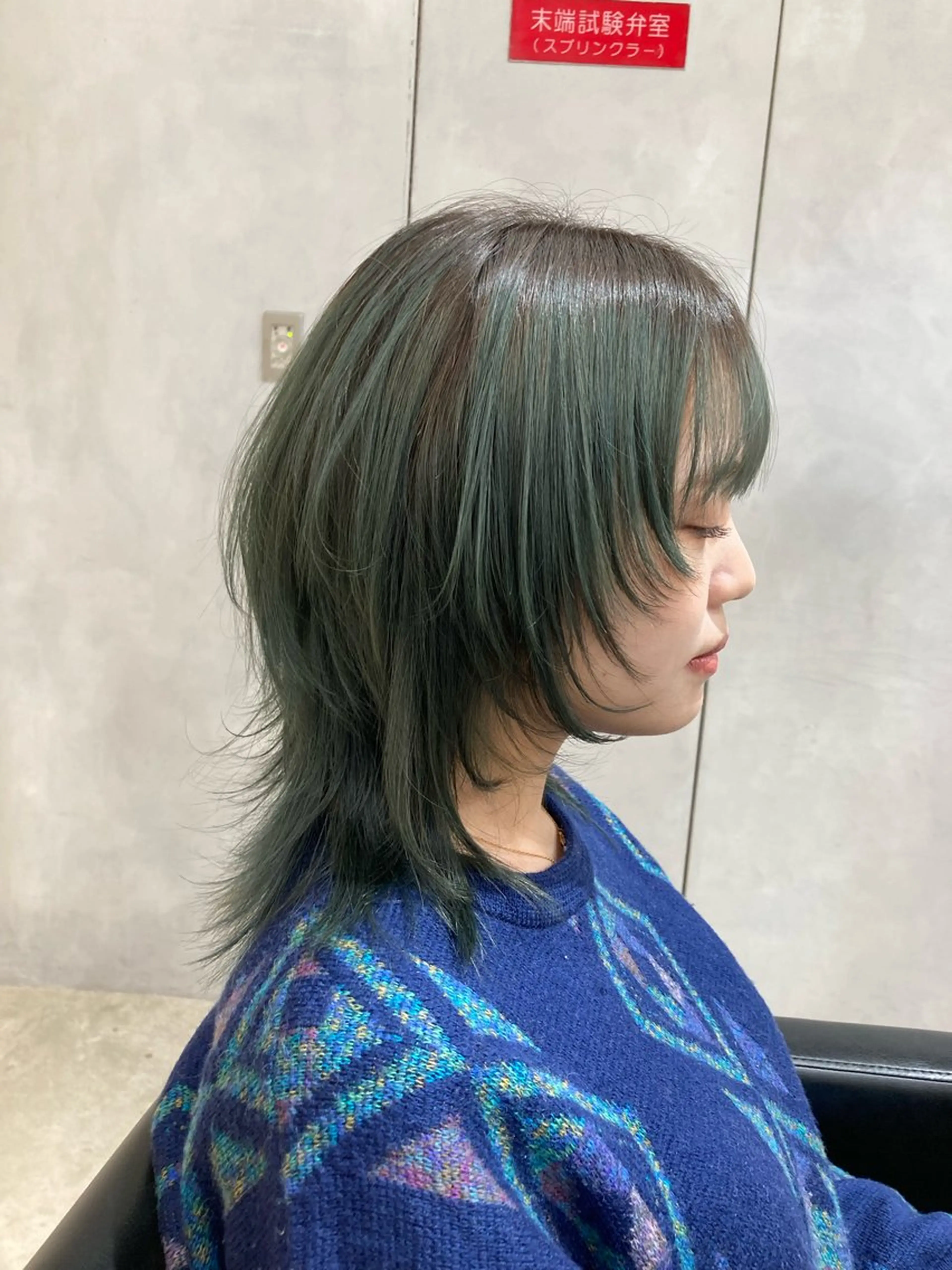 セミロング カラー カット トリートメント 🟢ウルフ／スパイラ ルパーマ／大西🟢のヘアスタイル