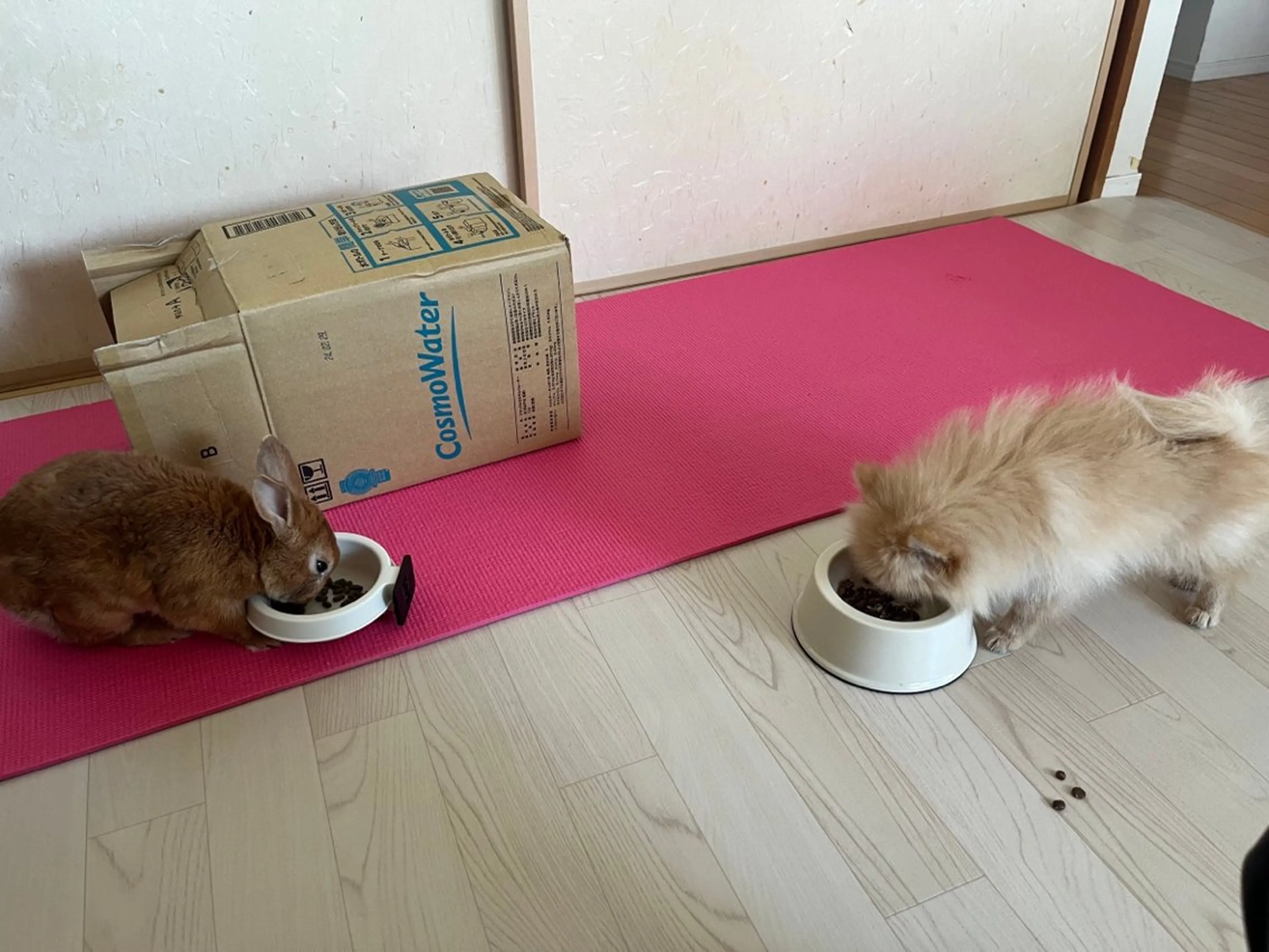 Sona hair & eyelash salon所属・紙屋 隼人のヘアスタイル