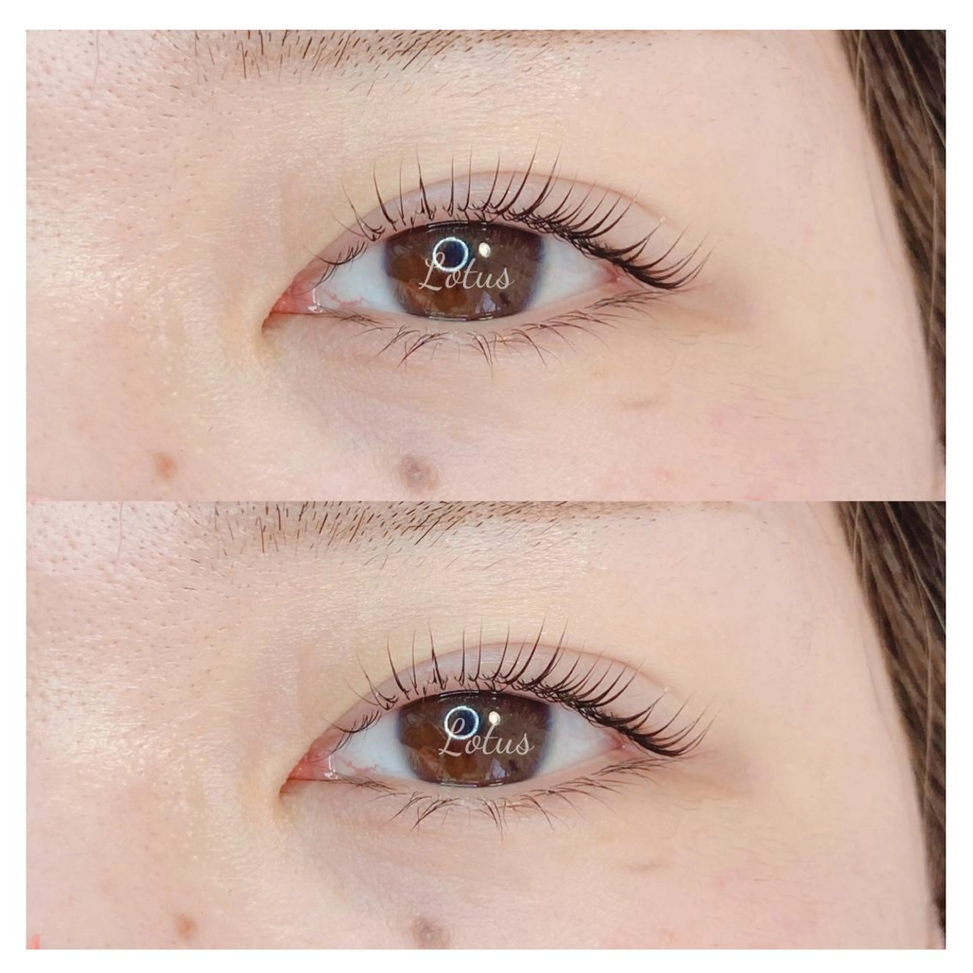 マツエク・マツパ マツパ Lotus所属・Lotus ロータスのマツエク・マツパデザイン