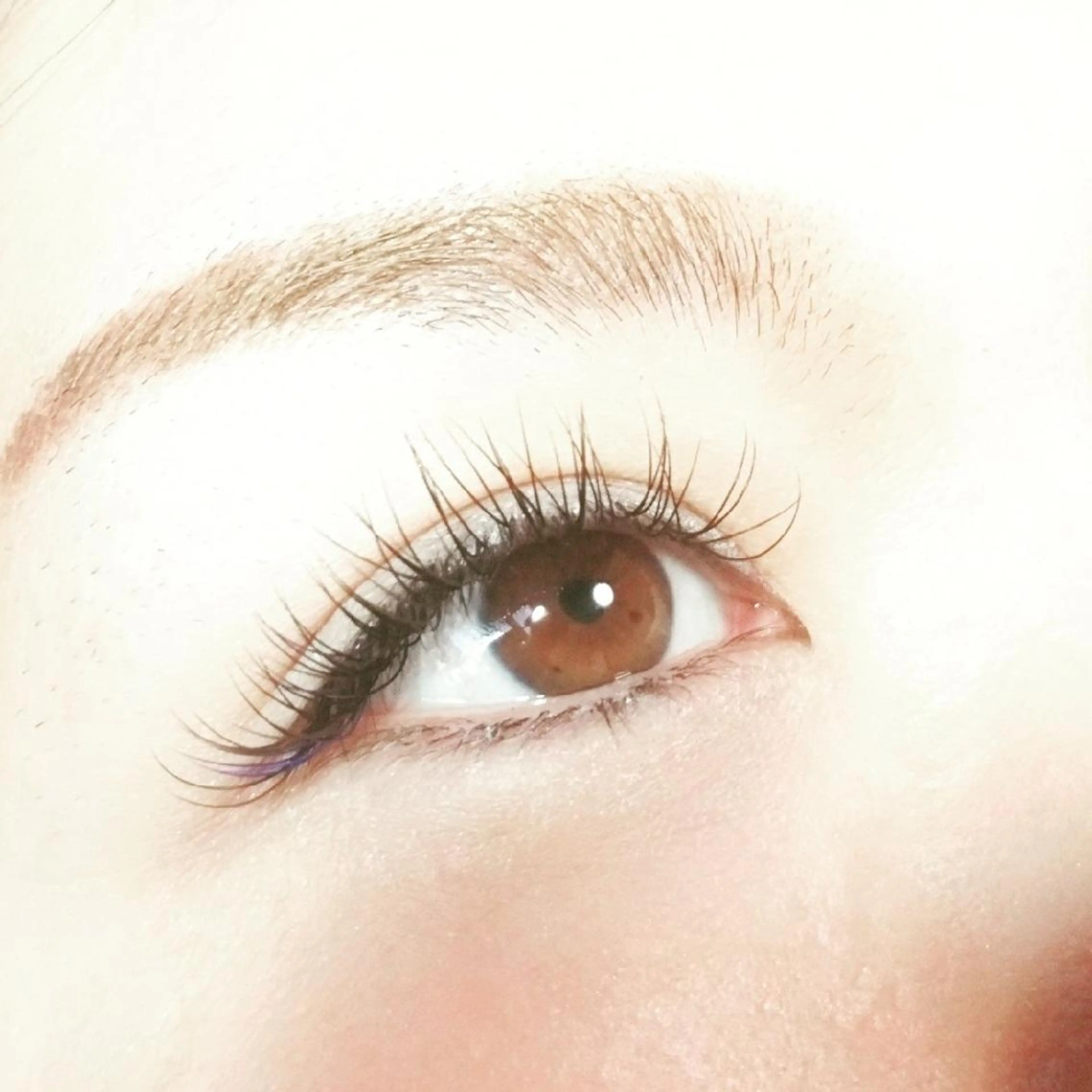 マツエク・マツパ CCカール Cカール セーブル Hair＆beauty BRY所属・hair& beauty BRYのマツエク・マツパデザイン