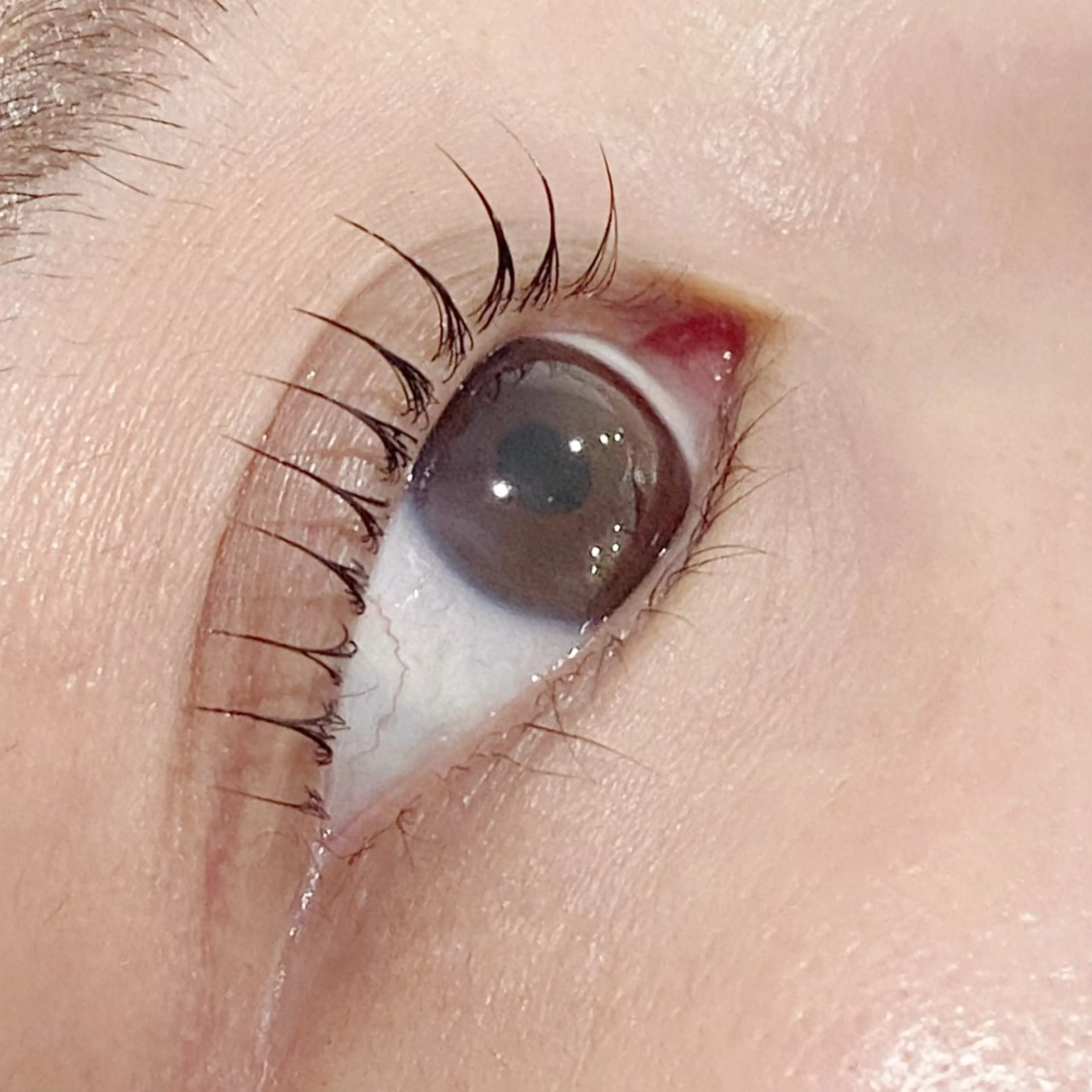 マツエク・マツパ パリジェンヌラッシュリフト マリーテレジア♡⛓ NAGANAWAのマツエク・マツパデザイン