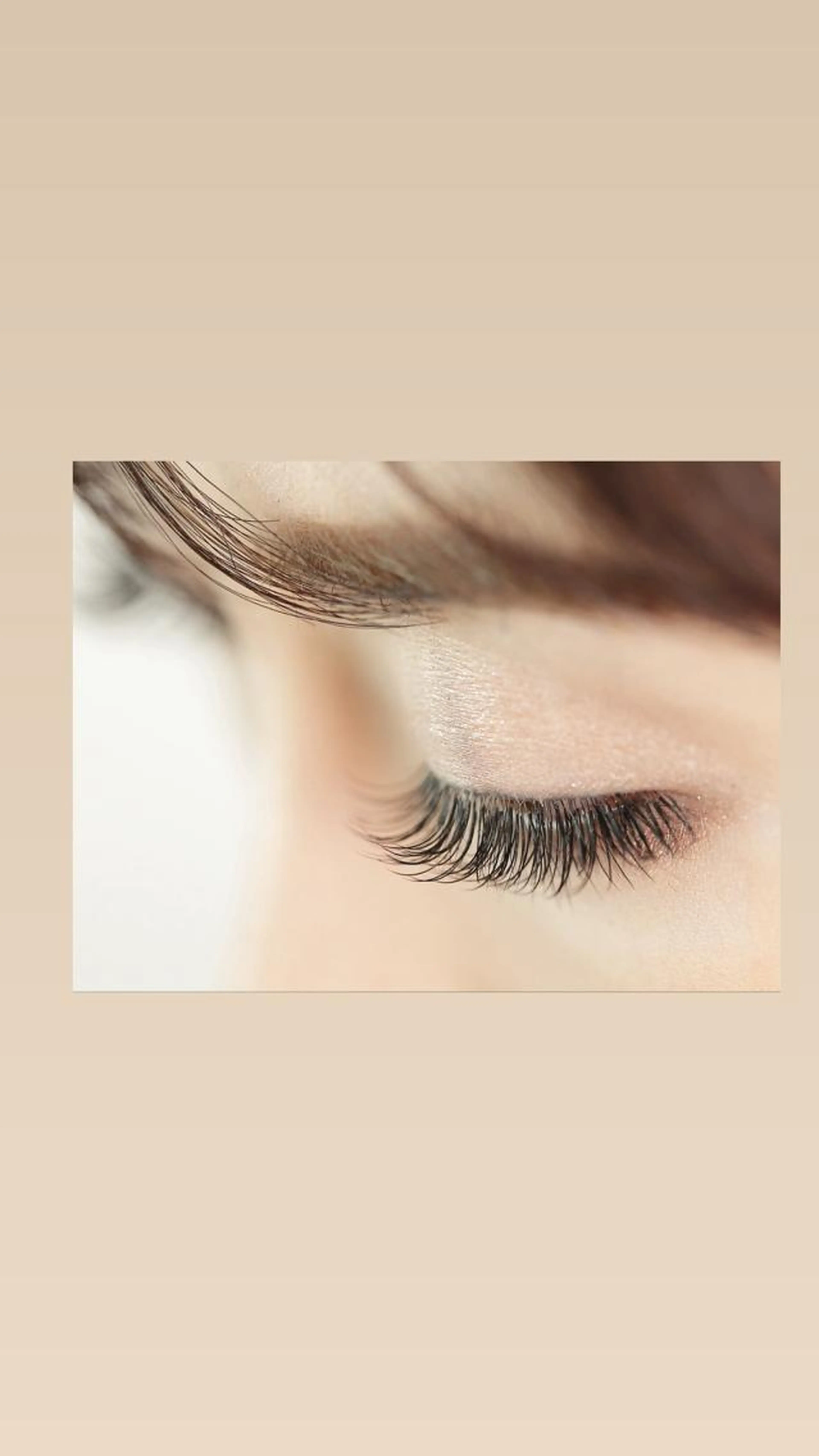 シングルセーブルラッシュ100本の写真