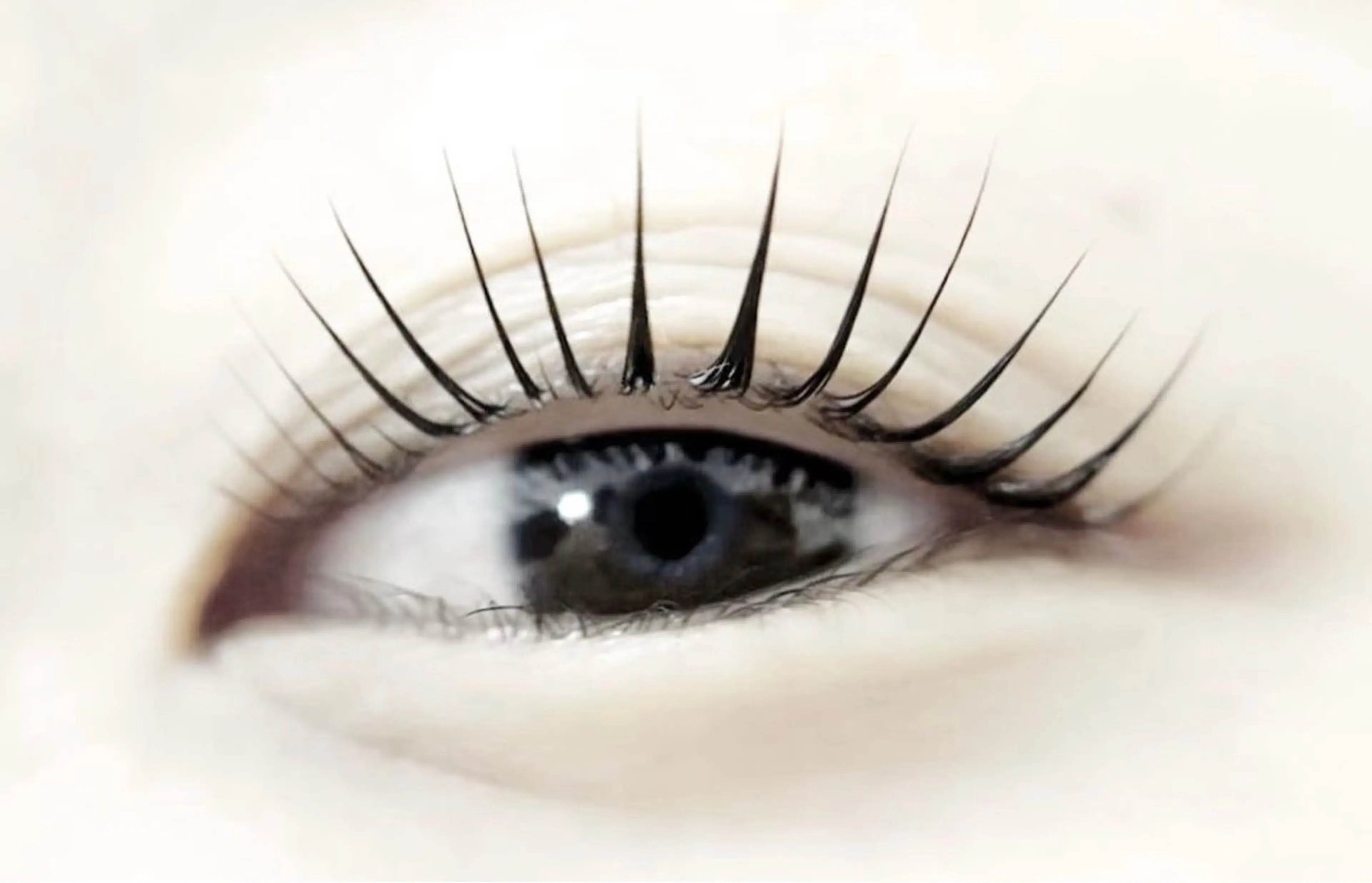 マツエク・マツパ M.LASH 🤍rinoの眉毛・アイブロウイメージ