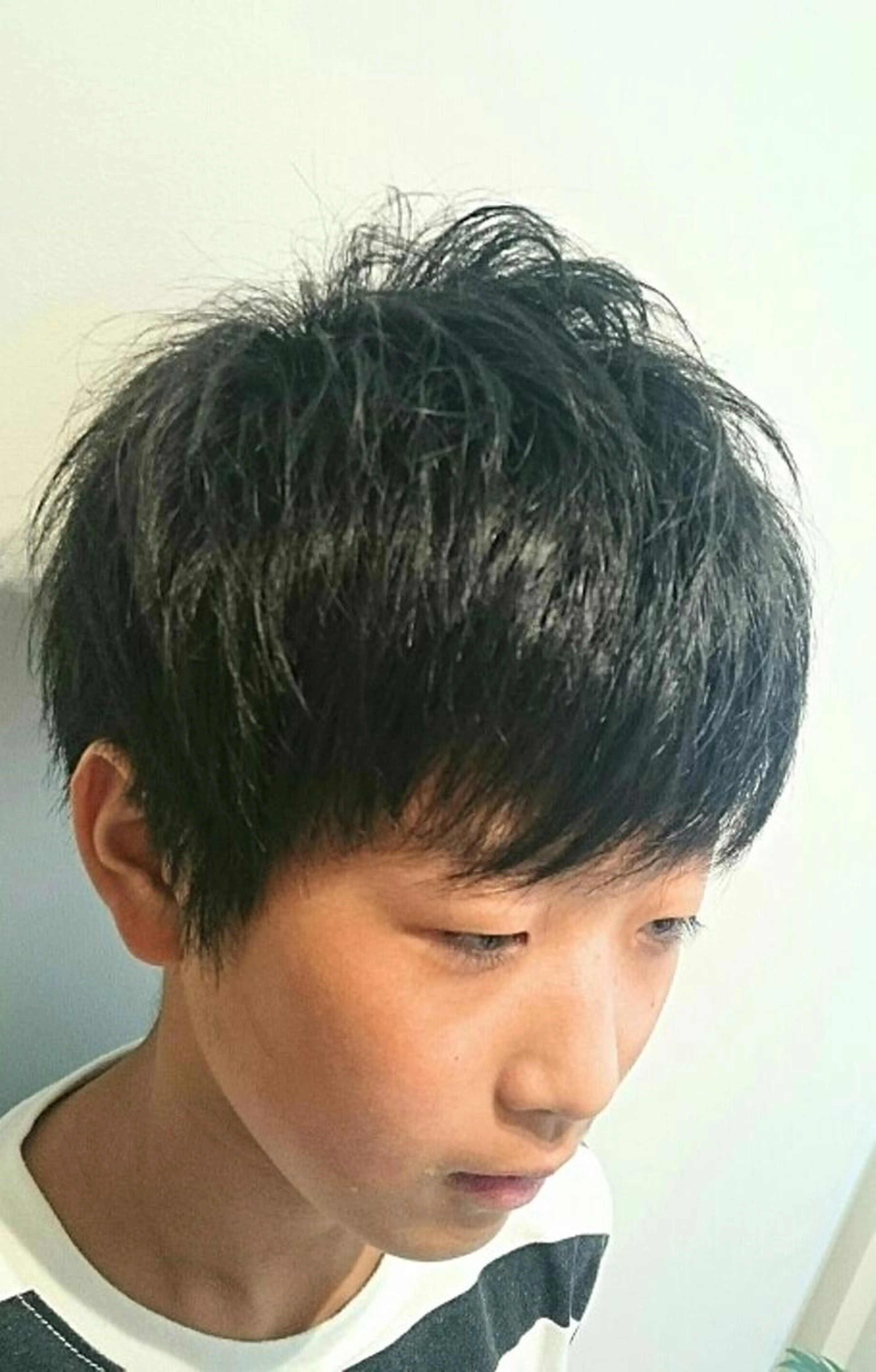 カット(小学生以下、シャンプー無し)の写真