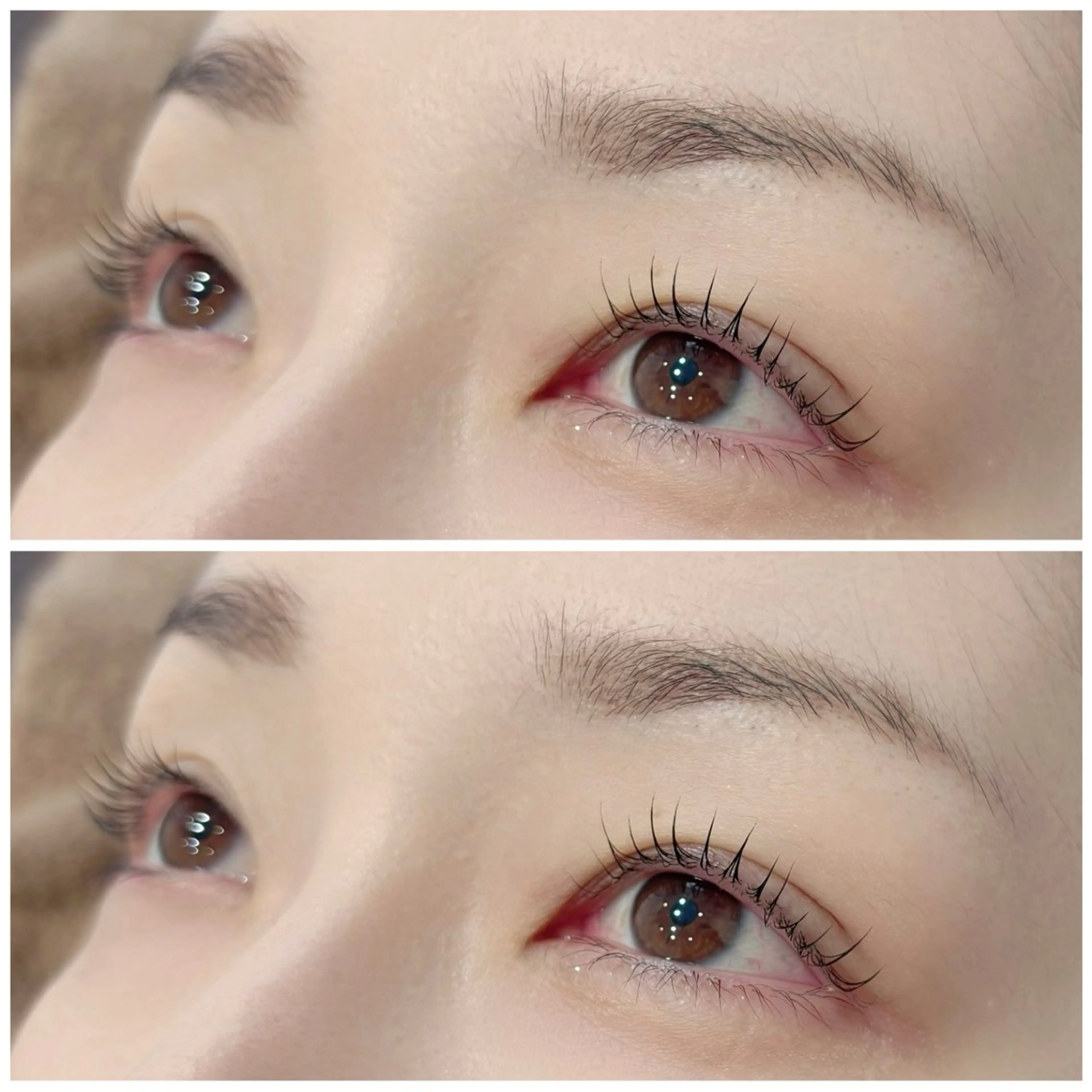 🫧ラッシュリフト🫧《コーティング仕上げ🧴》の写真