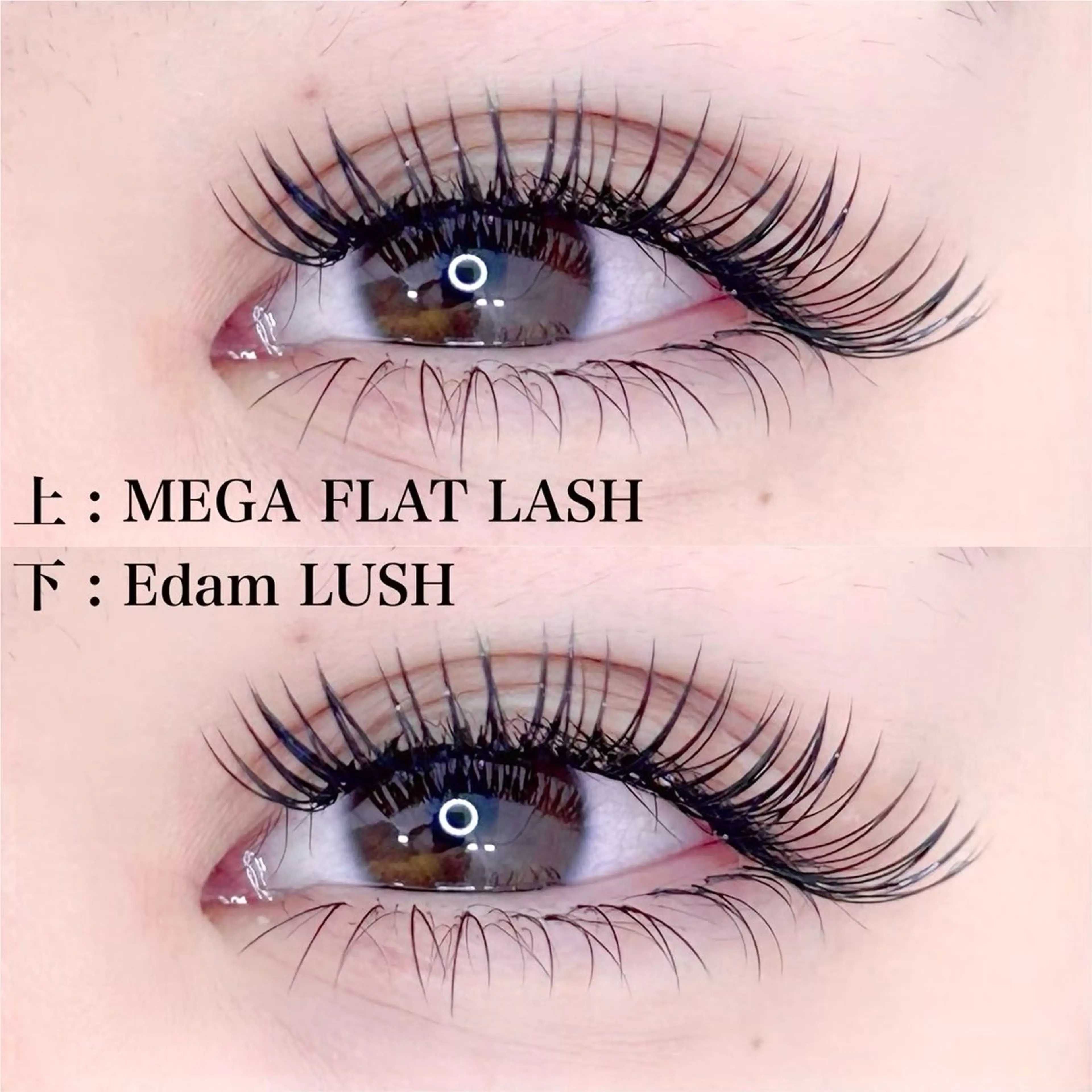 マツエク・マツパ マツエク アトリエFAM所属・アイラッシュ アトリエFAMのマツエク・マツパデザイン