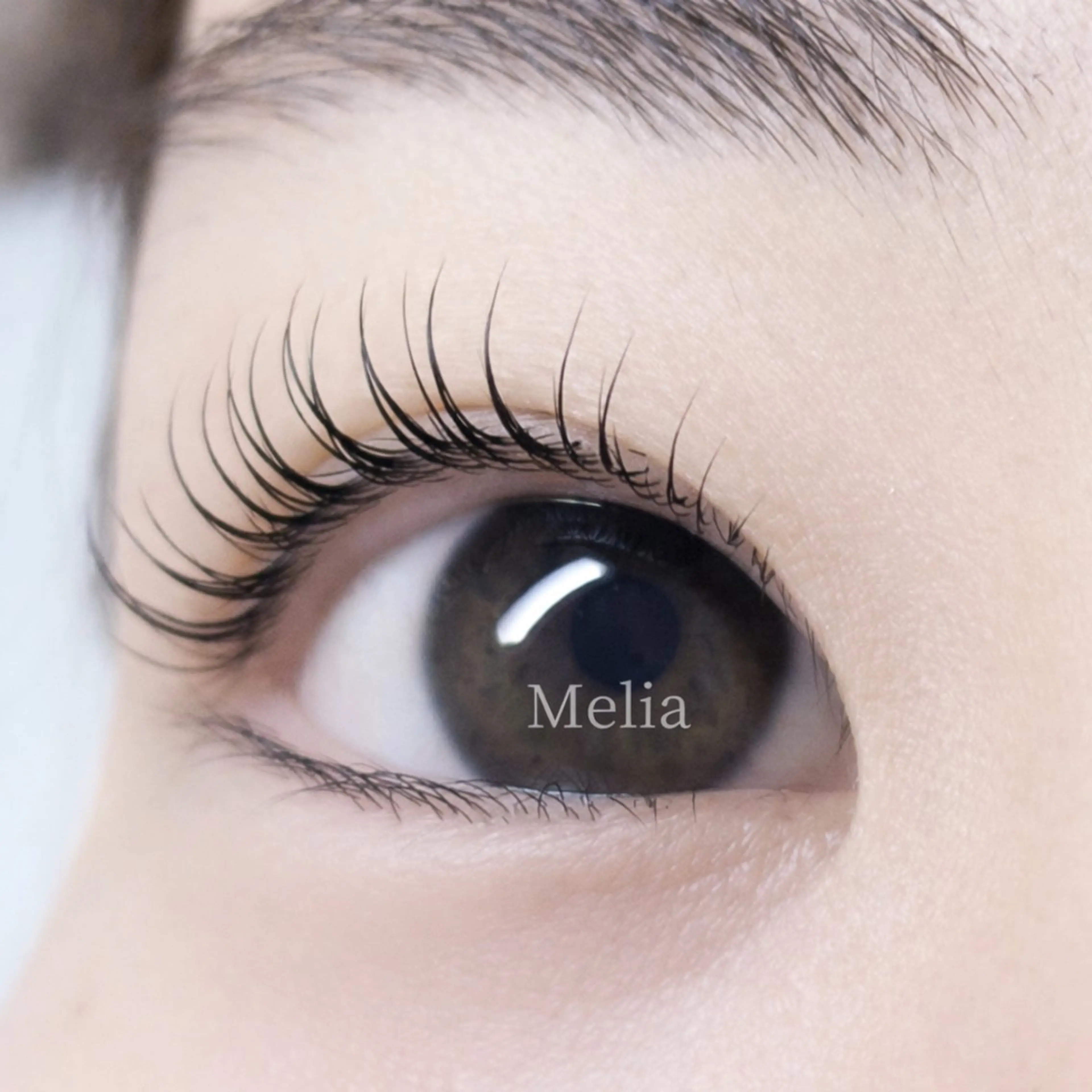 マツエク・マツパ Melia Chieのマツエク・マツパデザイン