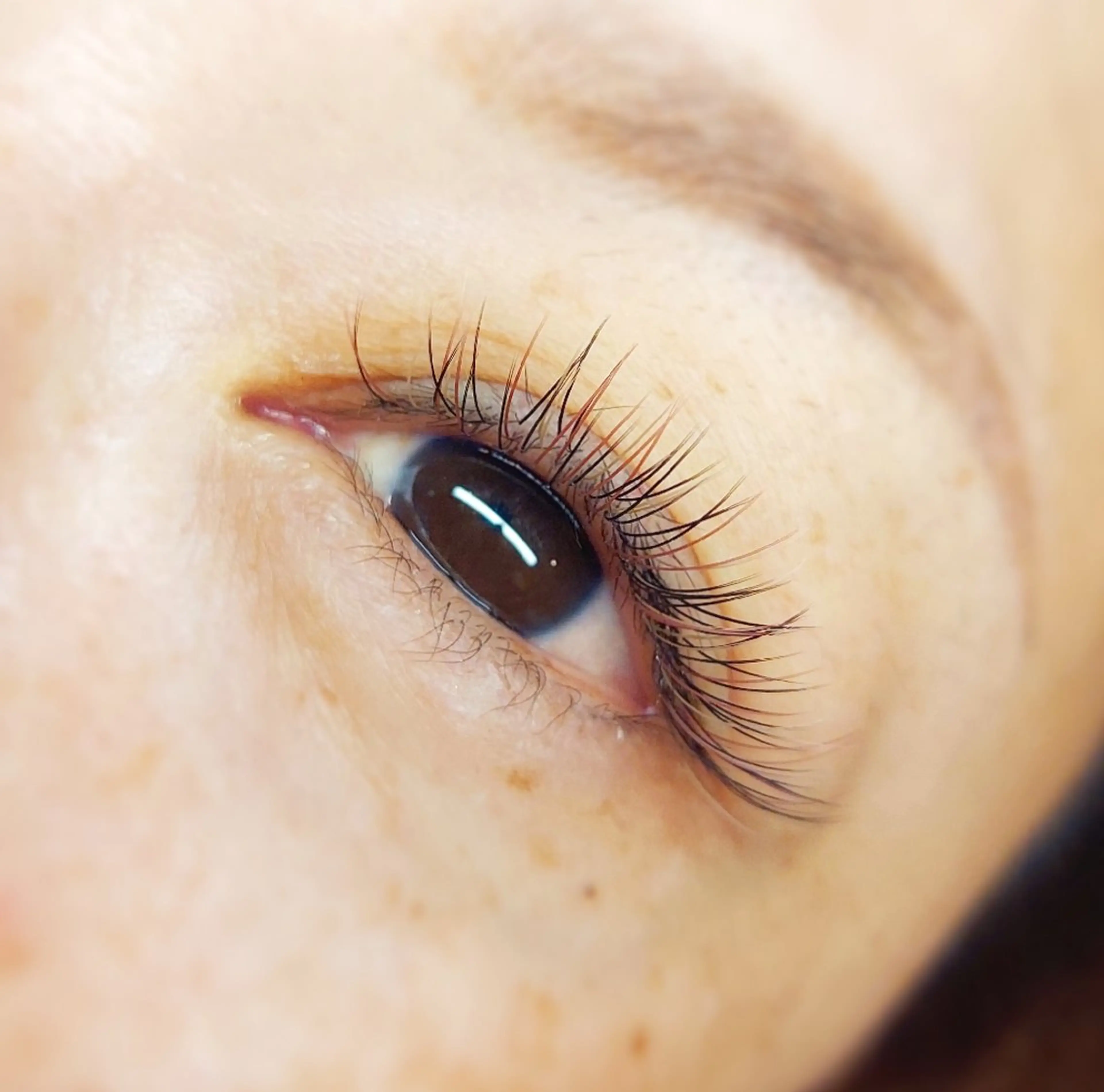 マツエク・マツパ マツエク U_la所属・U_la [ウーラ] 片岡の眉毛・アイブロウイメージ