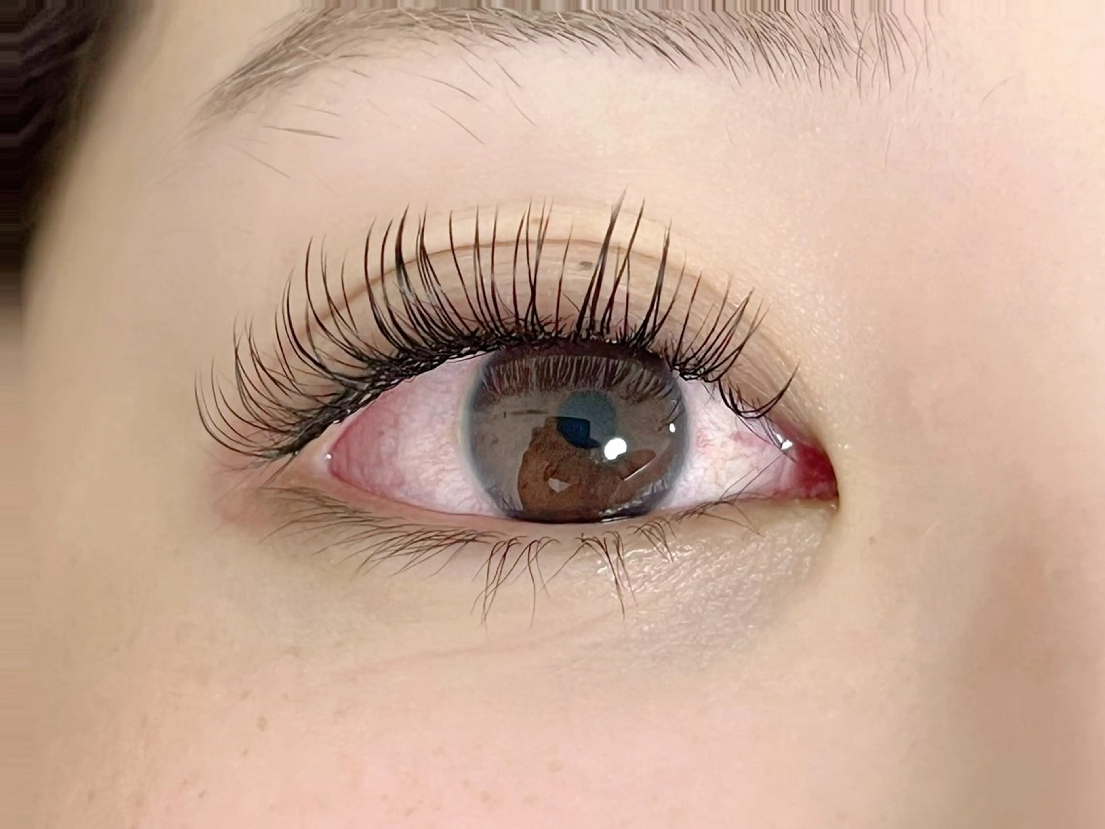 マツエク・マツパ Eye'llbe lash《ｱｲﾋﾞｰﾗｯｼｭ》所属・Eye'llbe lashのその他イメージ