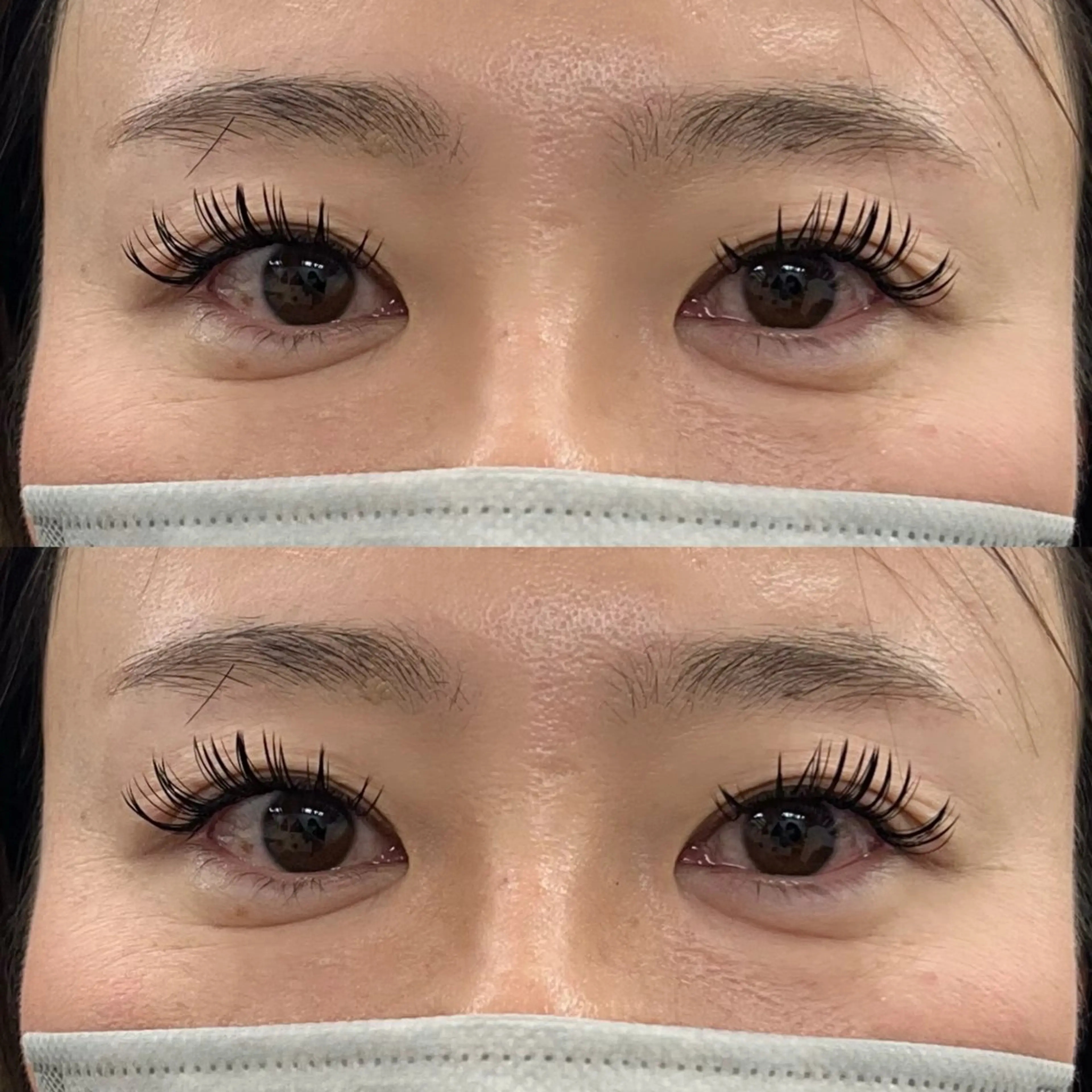 🤎バインドロック/ダブルラッシュ 100束🤎の写真