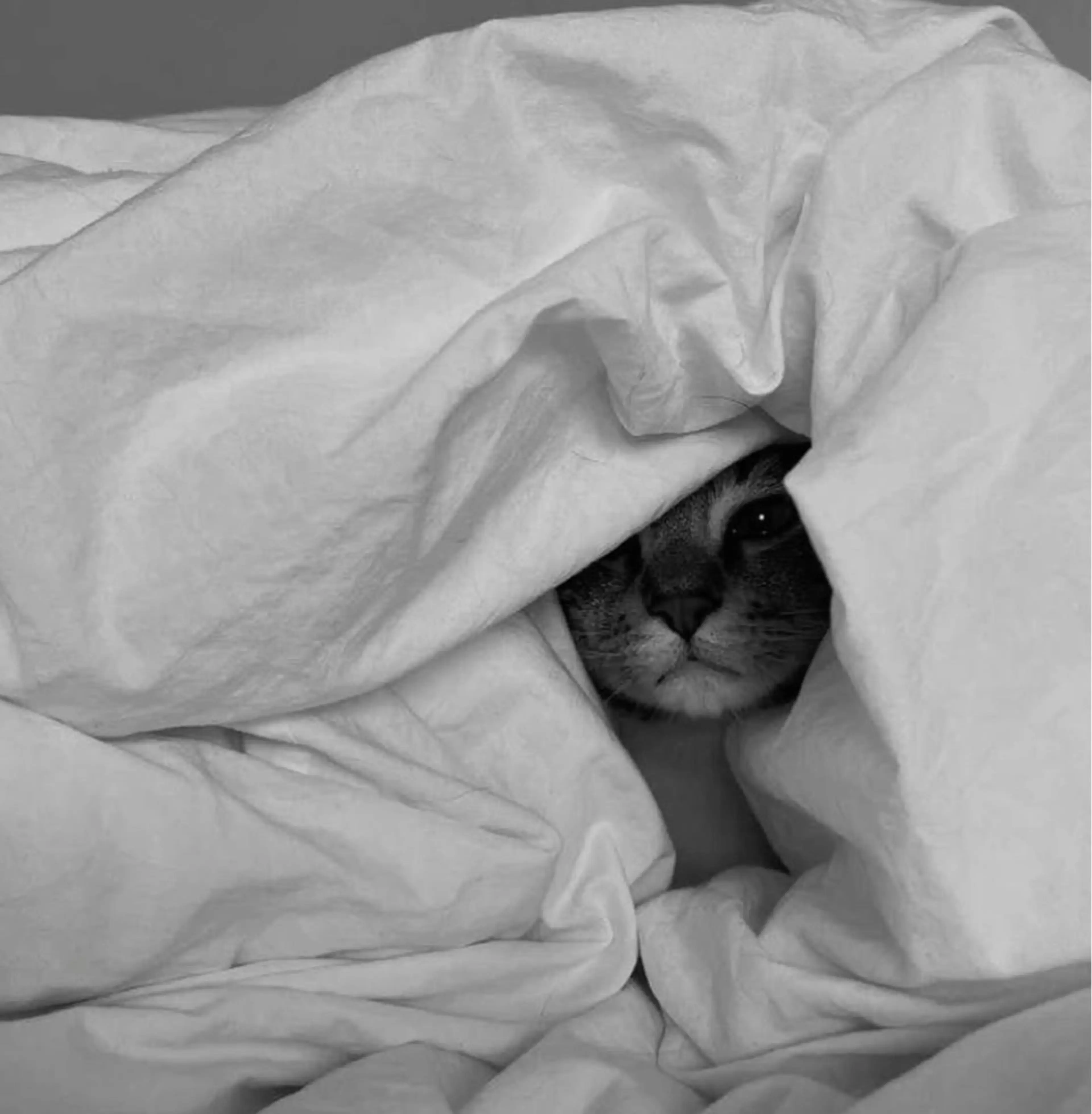 ᴍɪɴᴀ．‪‪ 🐈‍⬛のマツエク・マツパデザイン