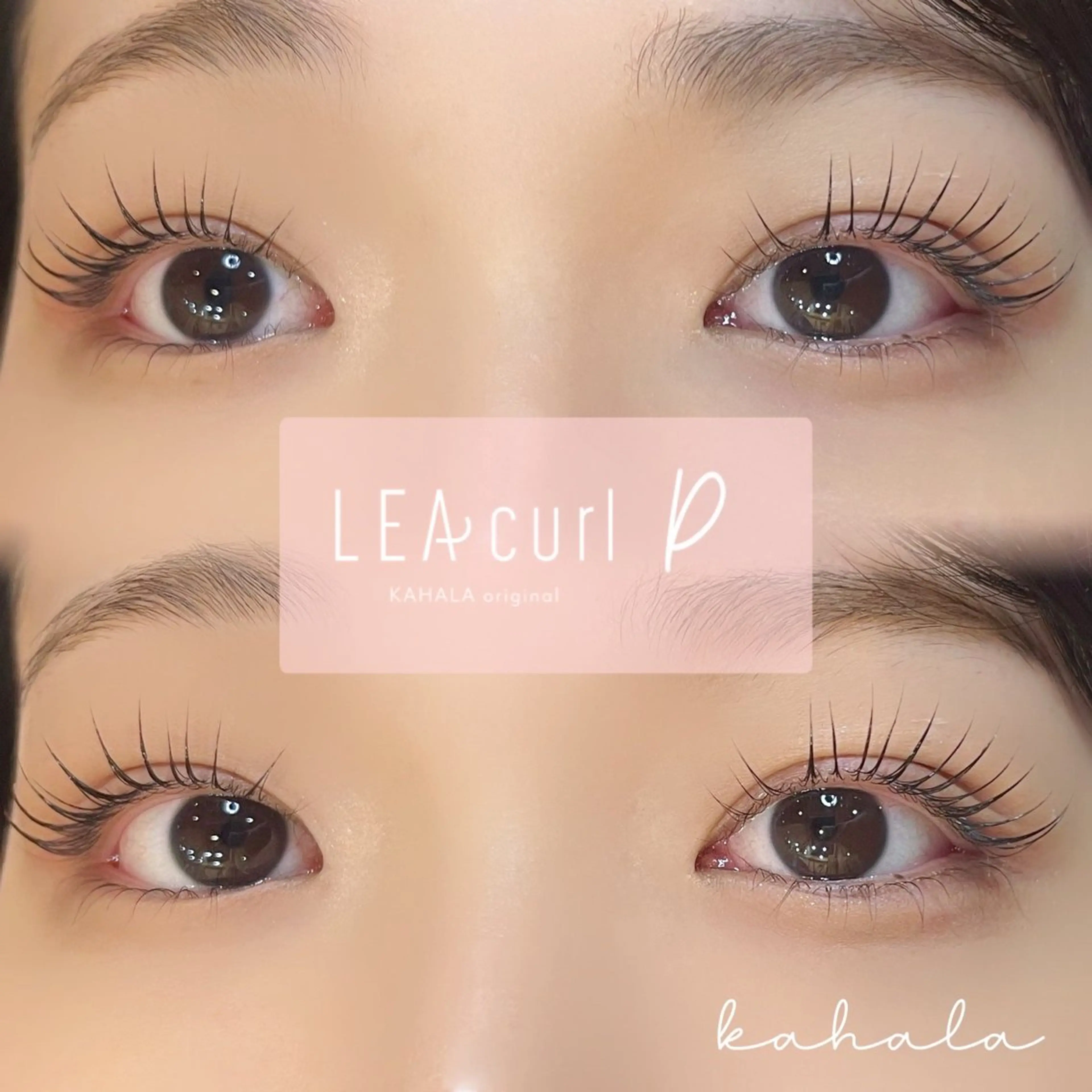 マツエク・マツパ Fujimoto 🦭⸝⋆꙳のマツエク・マツパデザイン