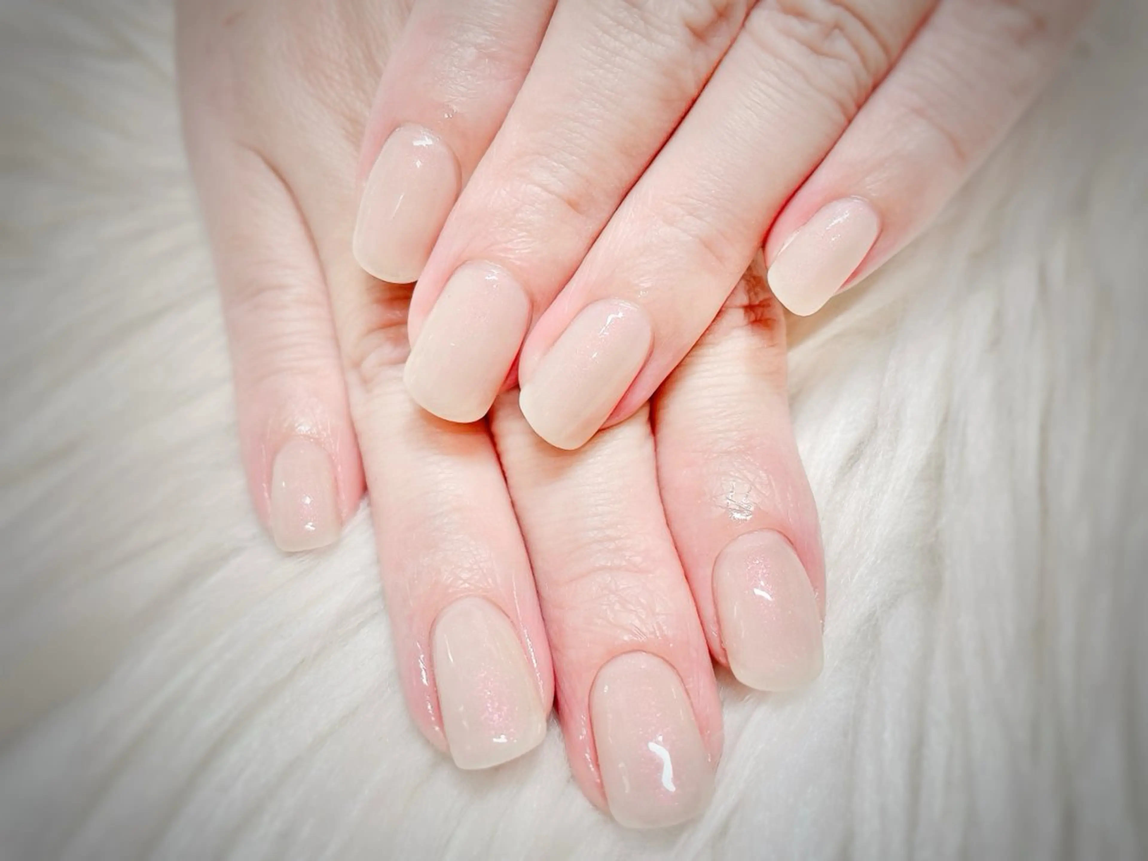 ワンカラーの写真