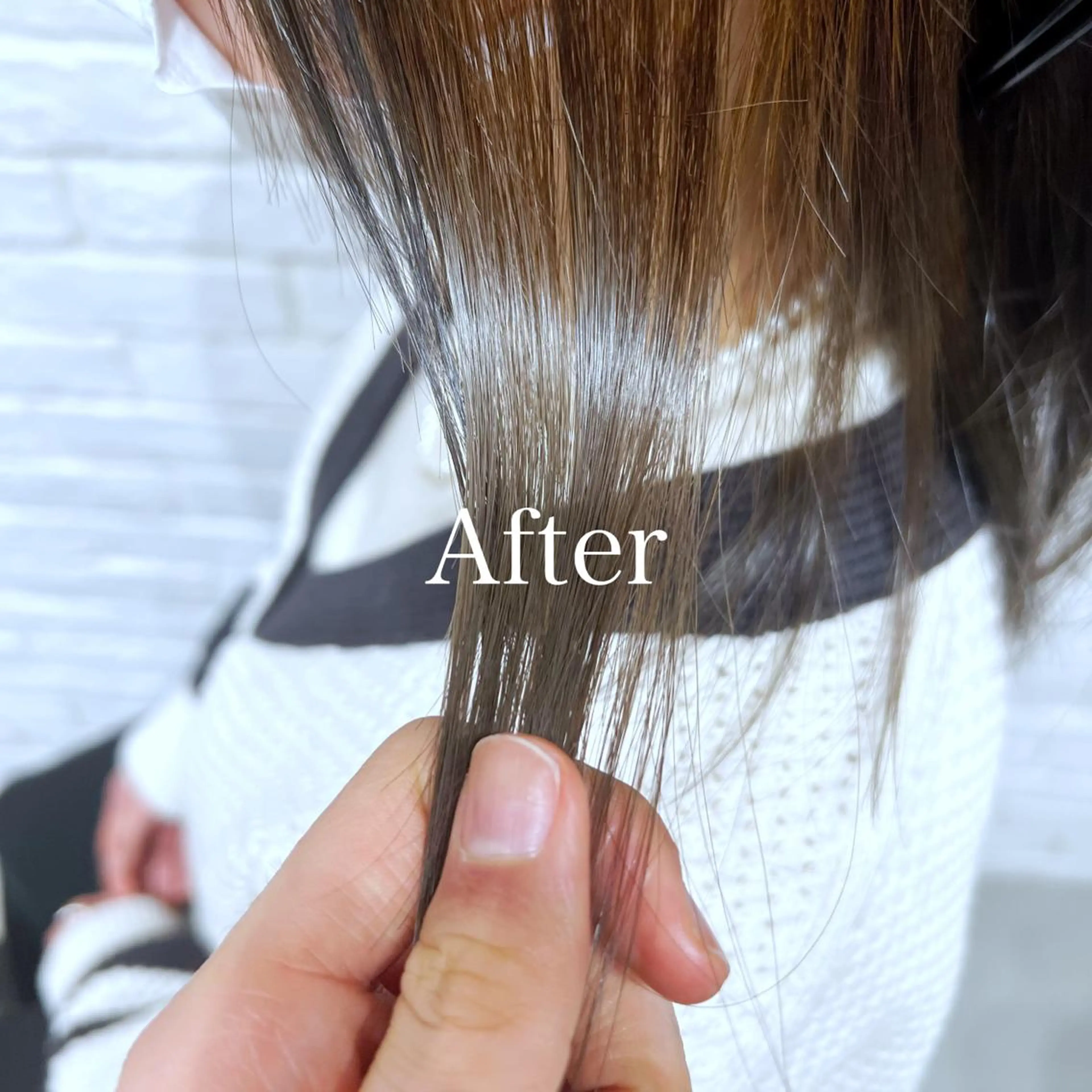 ミディアム カラー レディースヘア💫 加藤たいが🐯のヘアスタイル