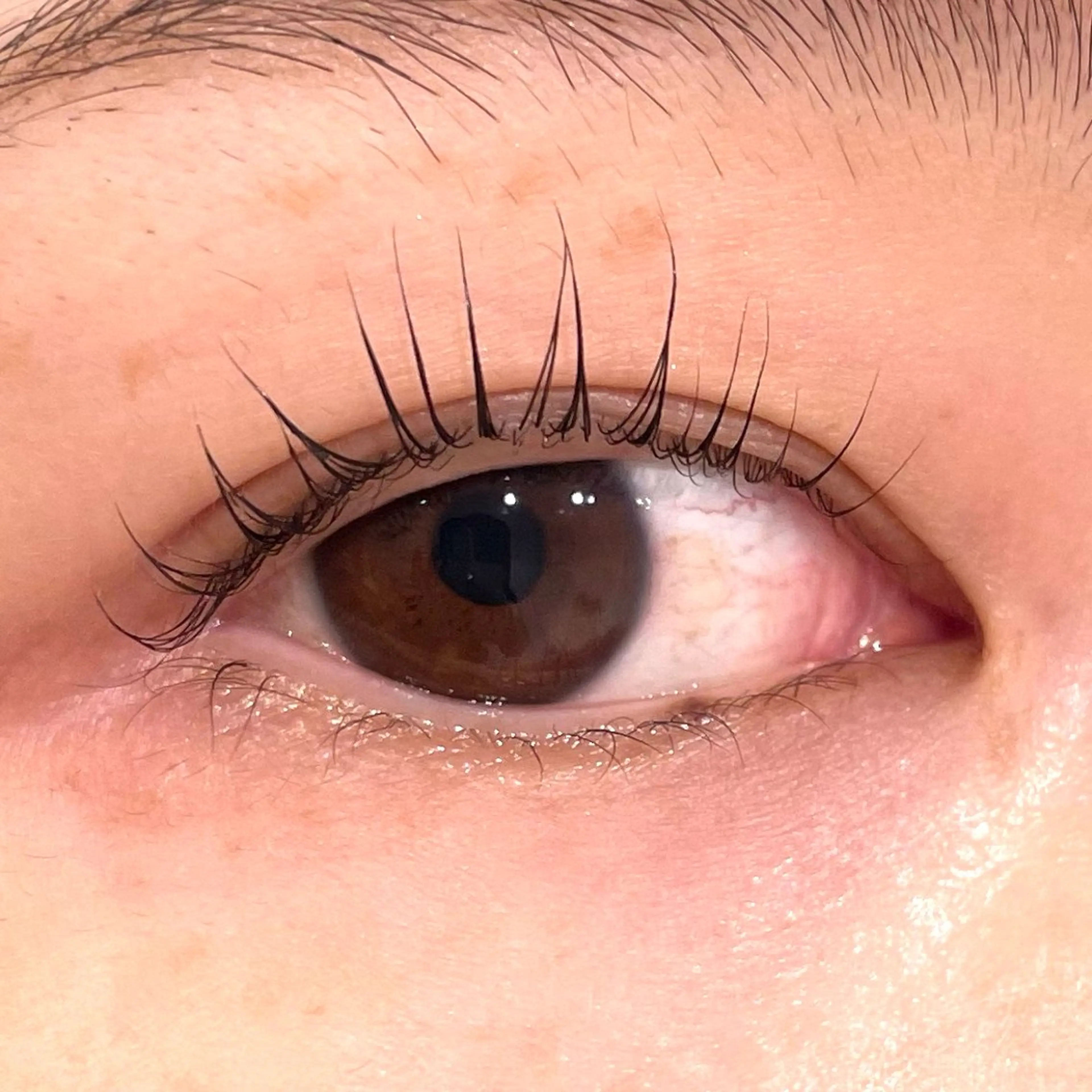 マツエク・マツパ KUSAKAWA 新宿マルイ本館　店長のマツエク・マツパデザイン