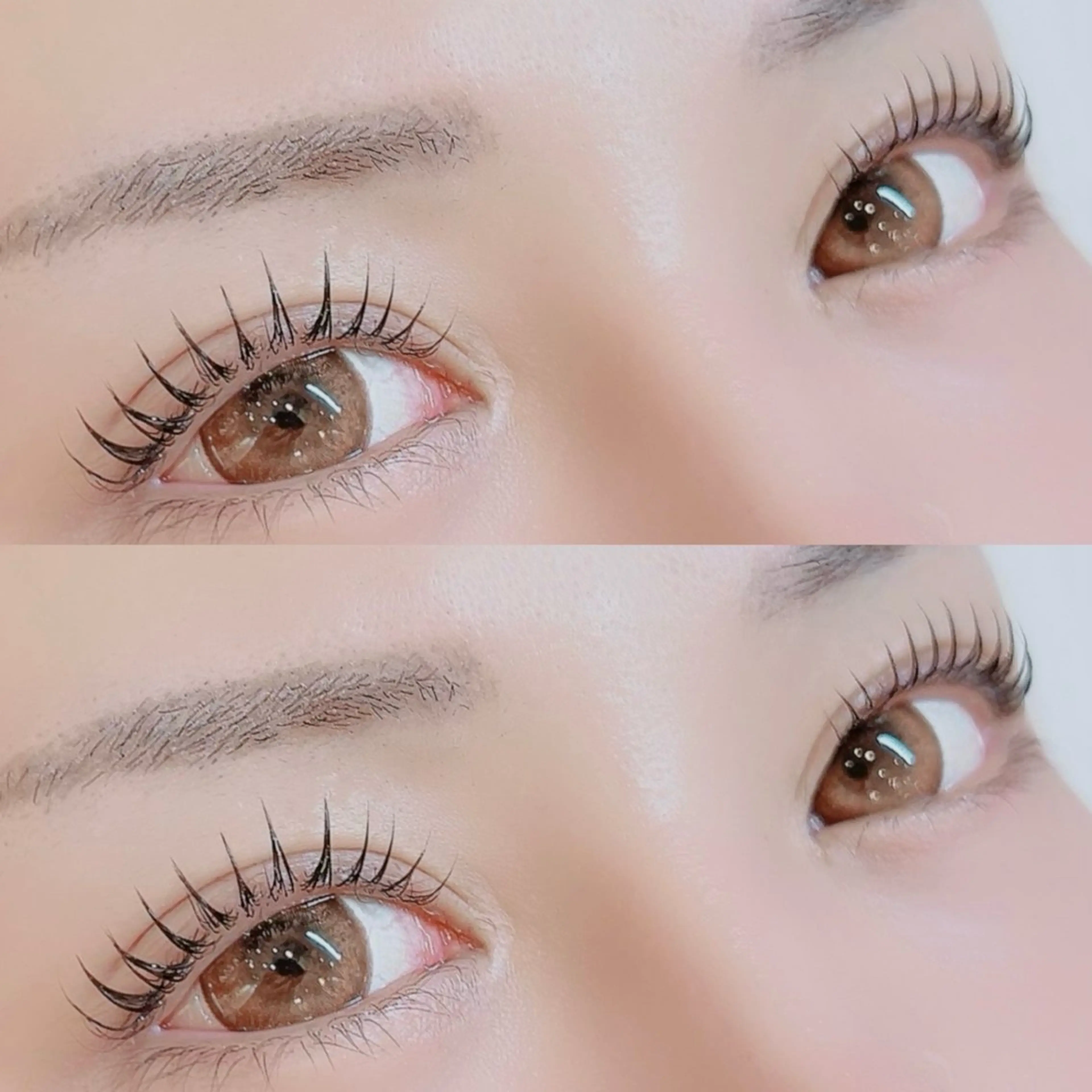 【ｱｲﾌﾞﾛｳ&ﾊﾟﾘｼﾞｪﾝﾇ🌹】お目元完璧set ¥10250の写真