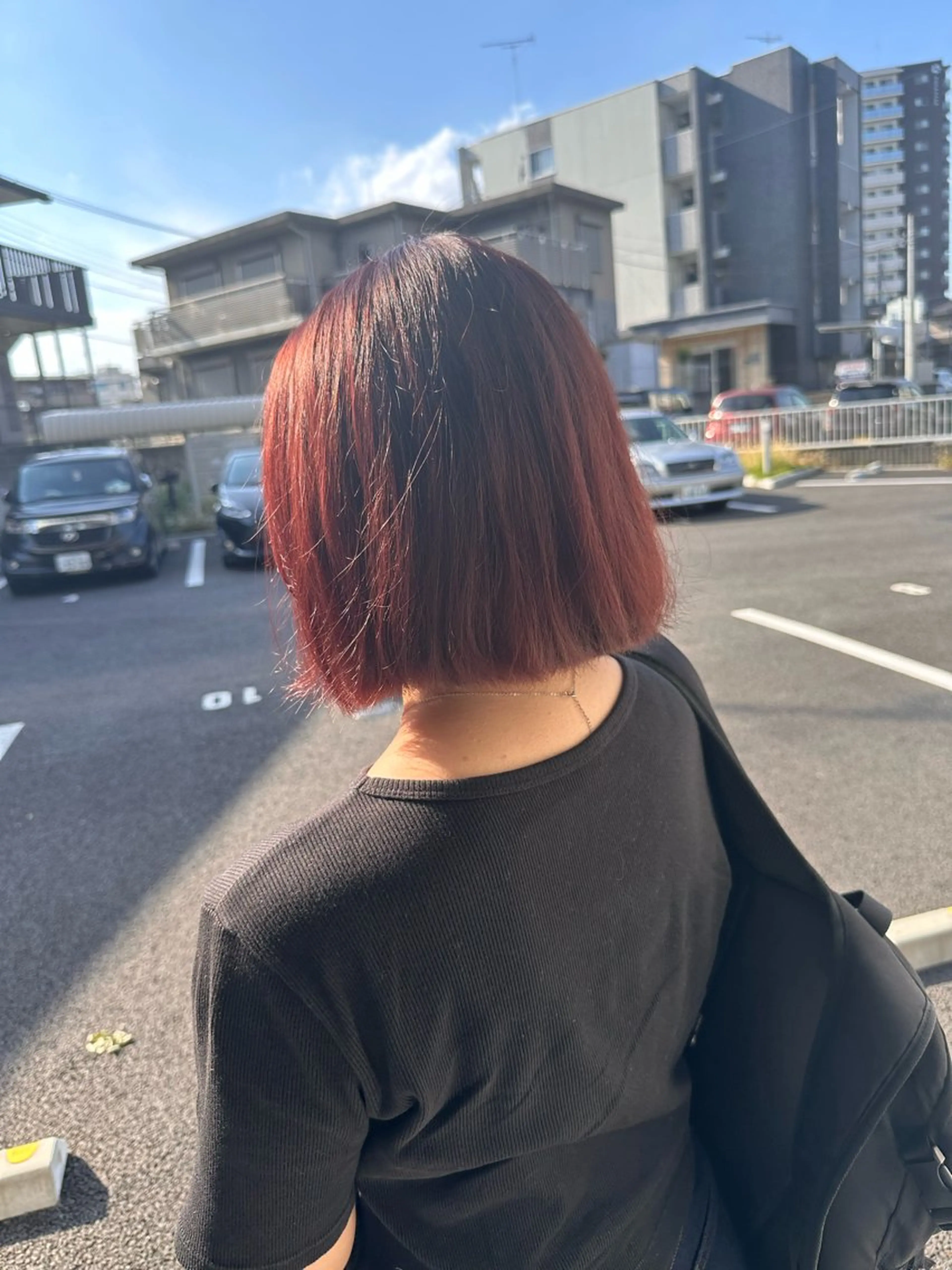 ワンカラーの写真