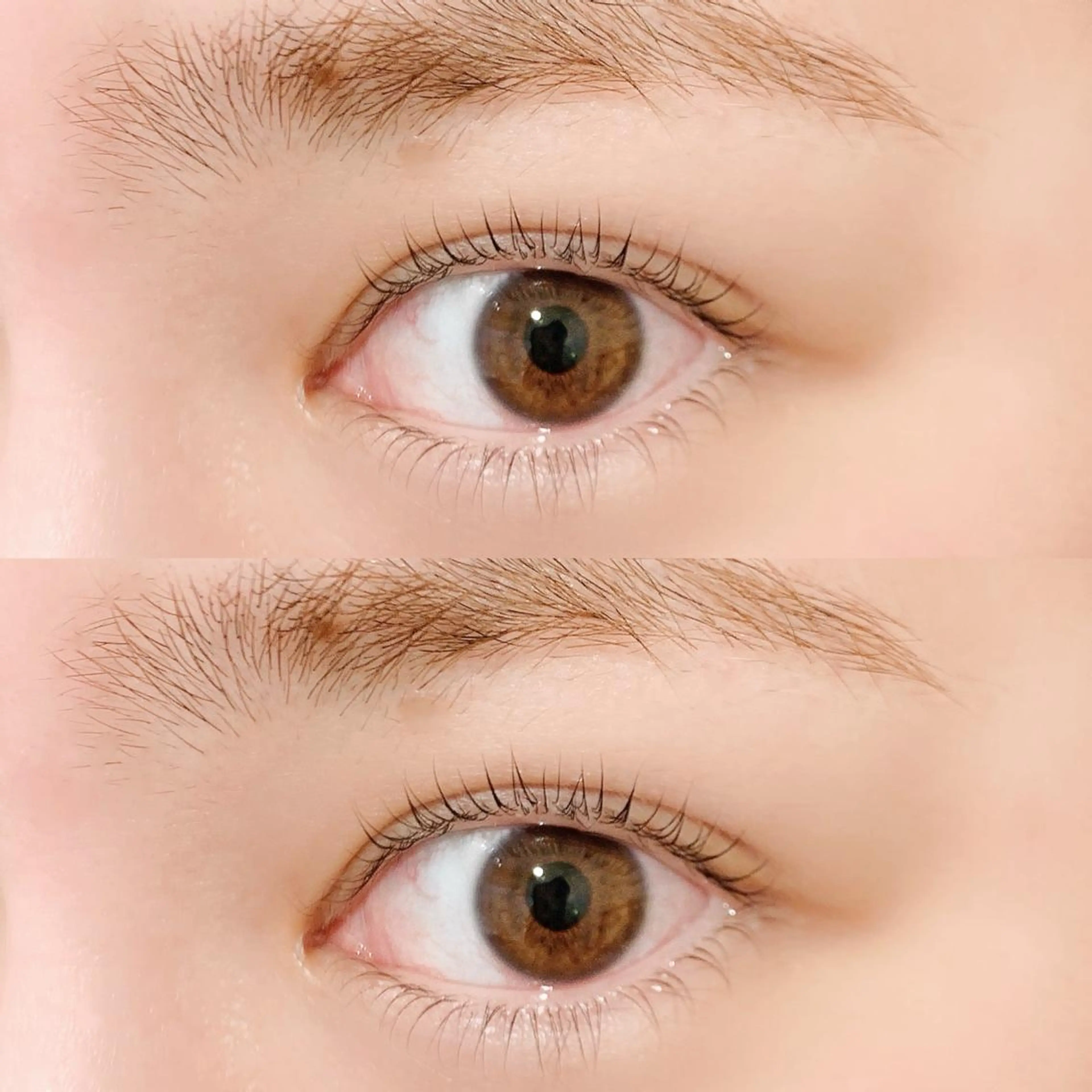 マツエク・マツパ Lilld eyelash大井町のマツエク・マツパデザイン