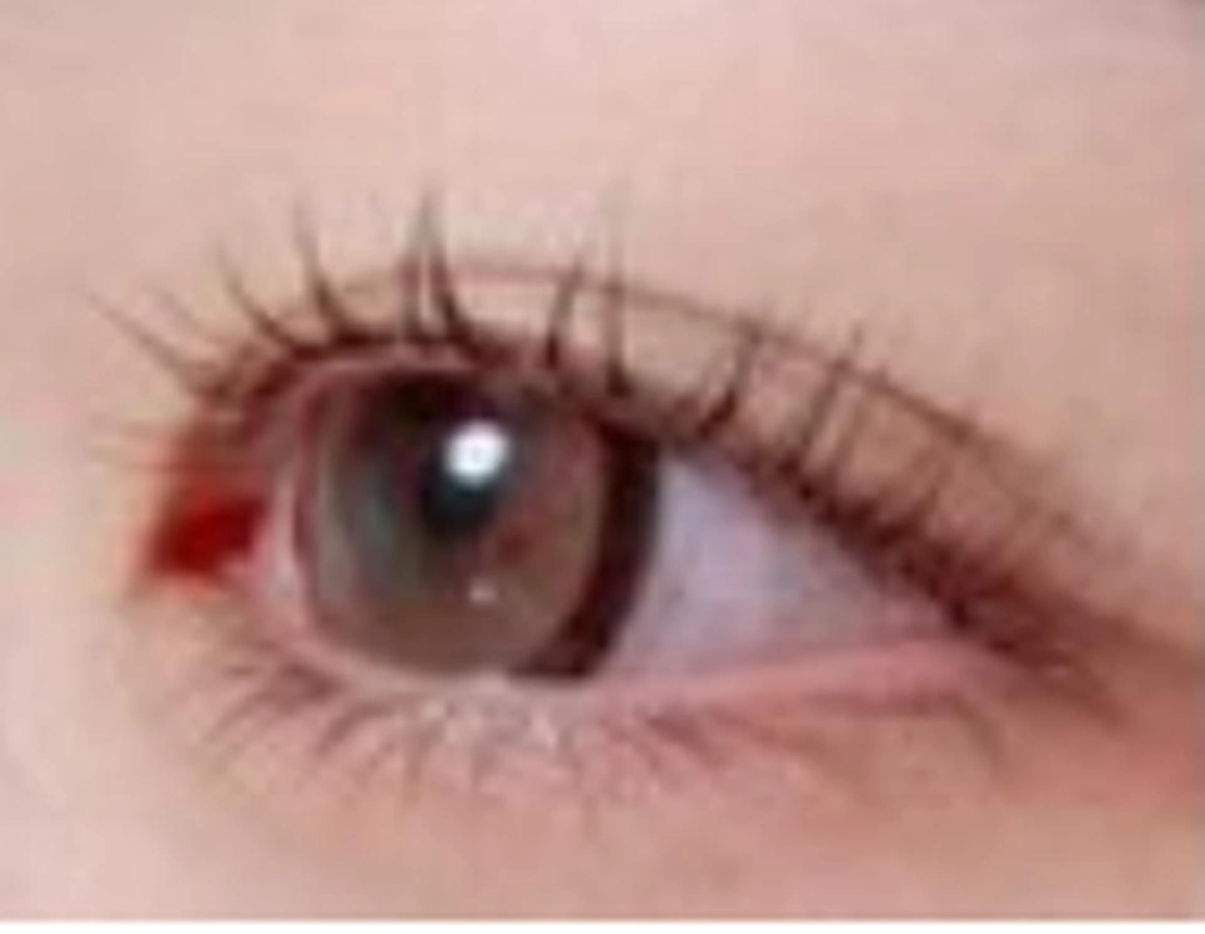 まつエク　　左右合計　60本　　LEDフラットラッシュの写真