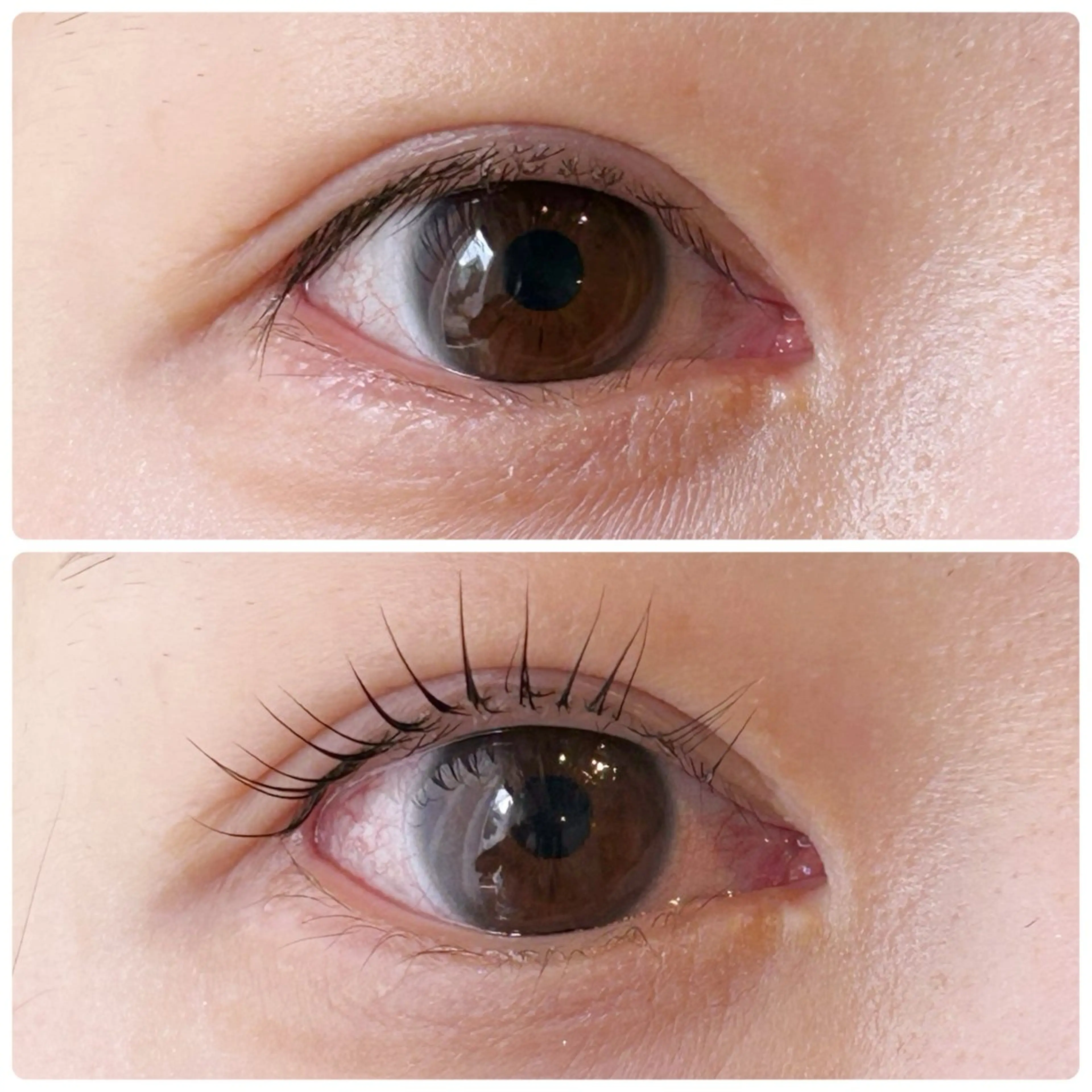 マツエク・マツパ パリジェンヌラッシュリフト 細川 la beaux中津のマツエク・マツパデザイン