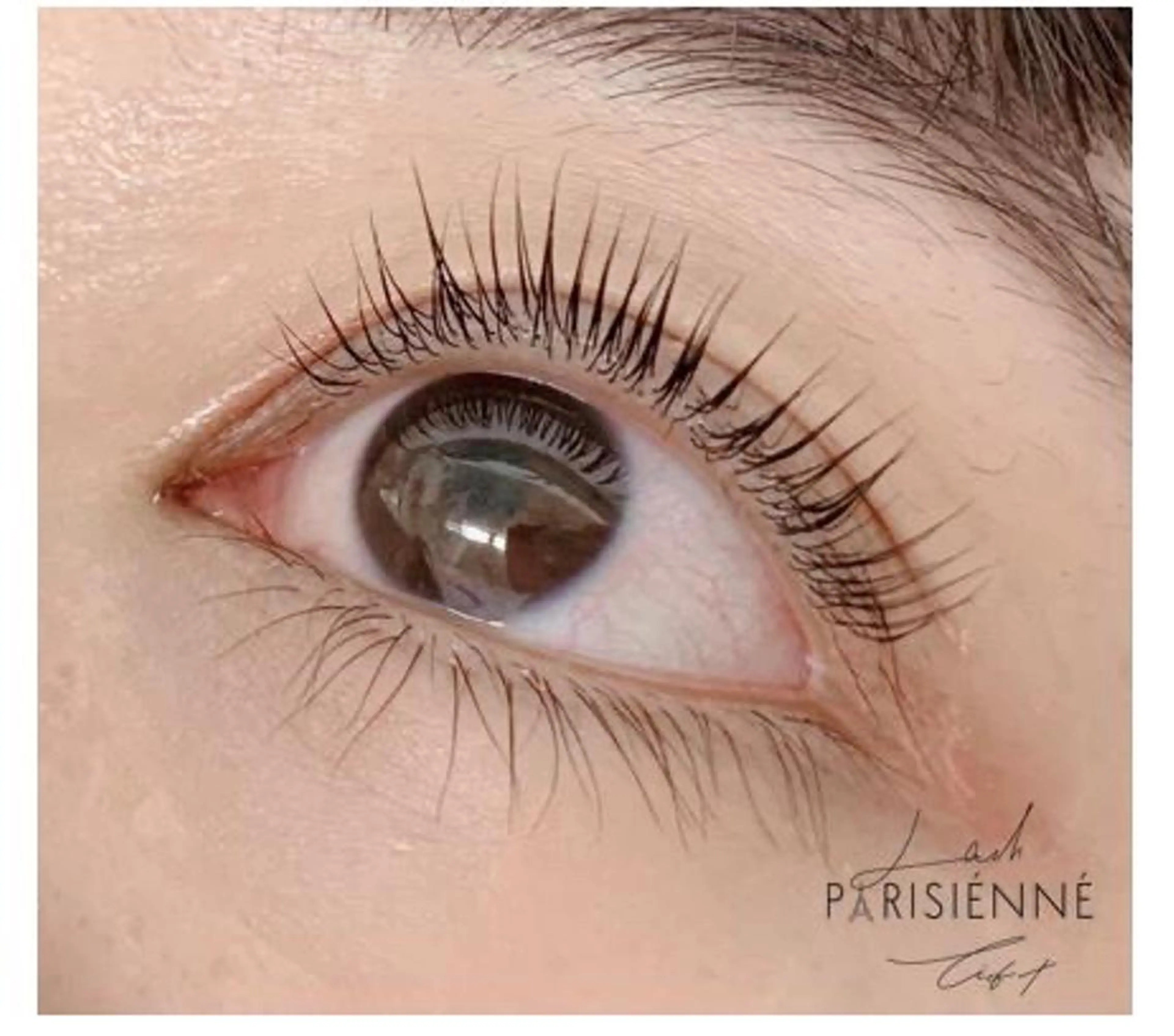 マツエク・マツパ Persian Kayoのマツエク・マツパデザイン