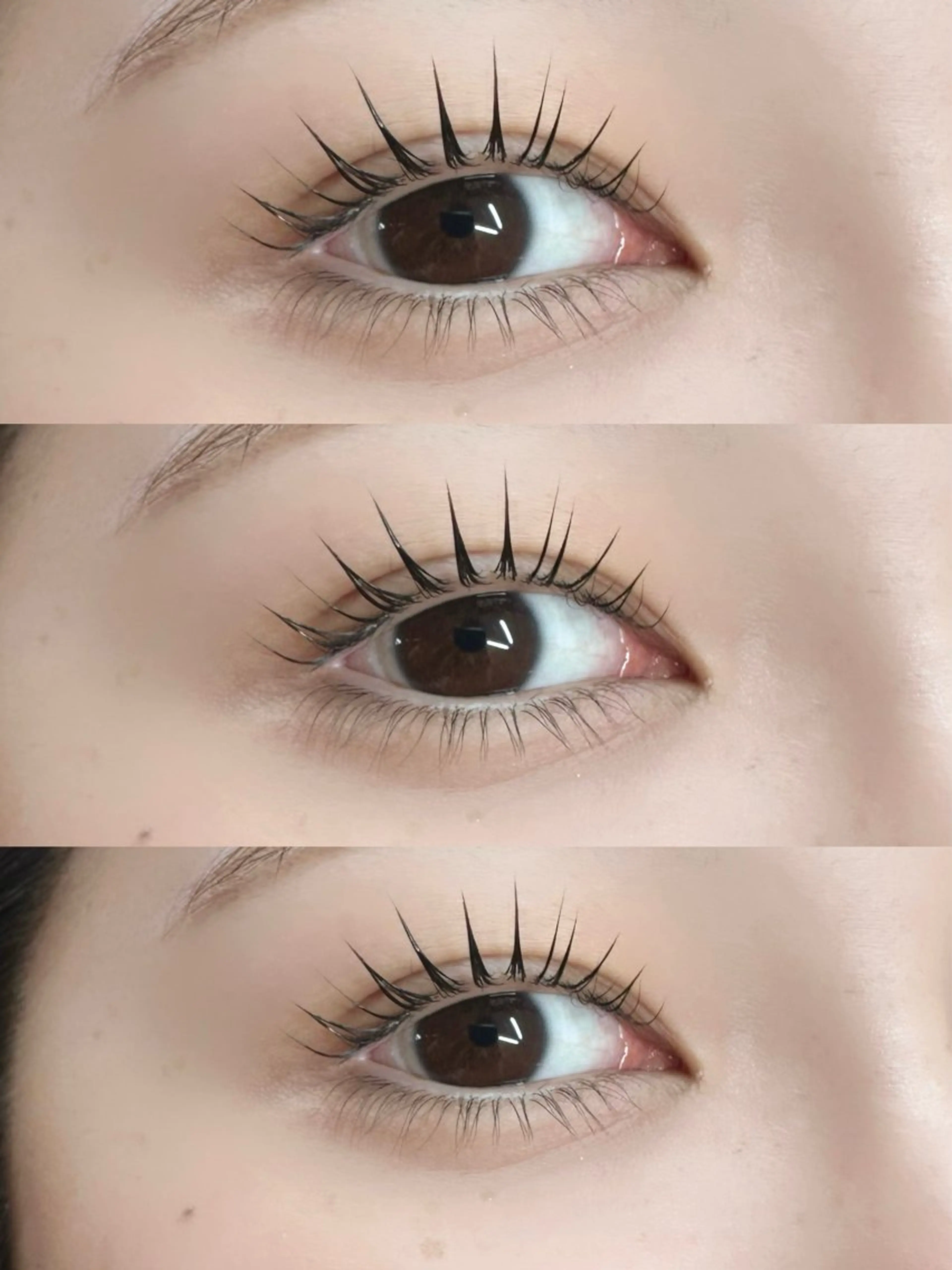 🌸成人式特別メニュー🌸上下まつげパーマ(アイシャンプー付き)（ミニモ学割）ラッシュリフトの写真