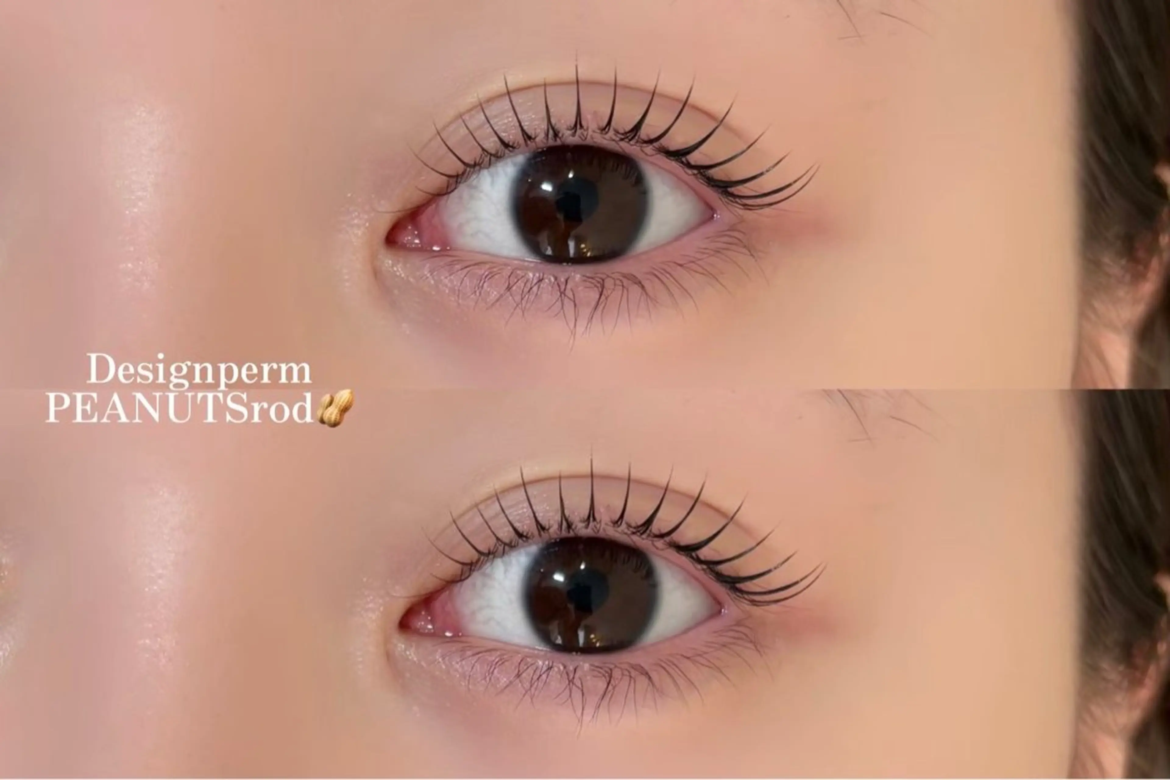 まつ毛パーマ＋アイブロウWAX🧸ིྀ🎀【束感コーティング、眉カット、間引き、眉メイク付き🎀】12月限定価格✨️の写真