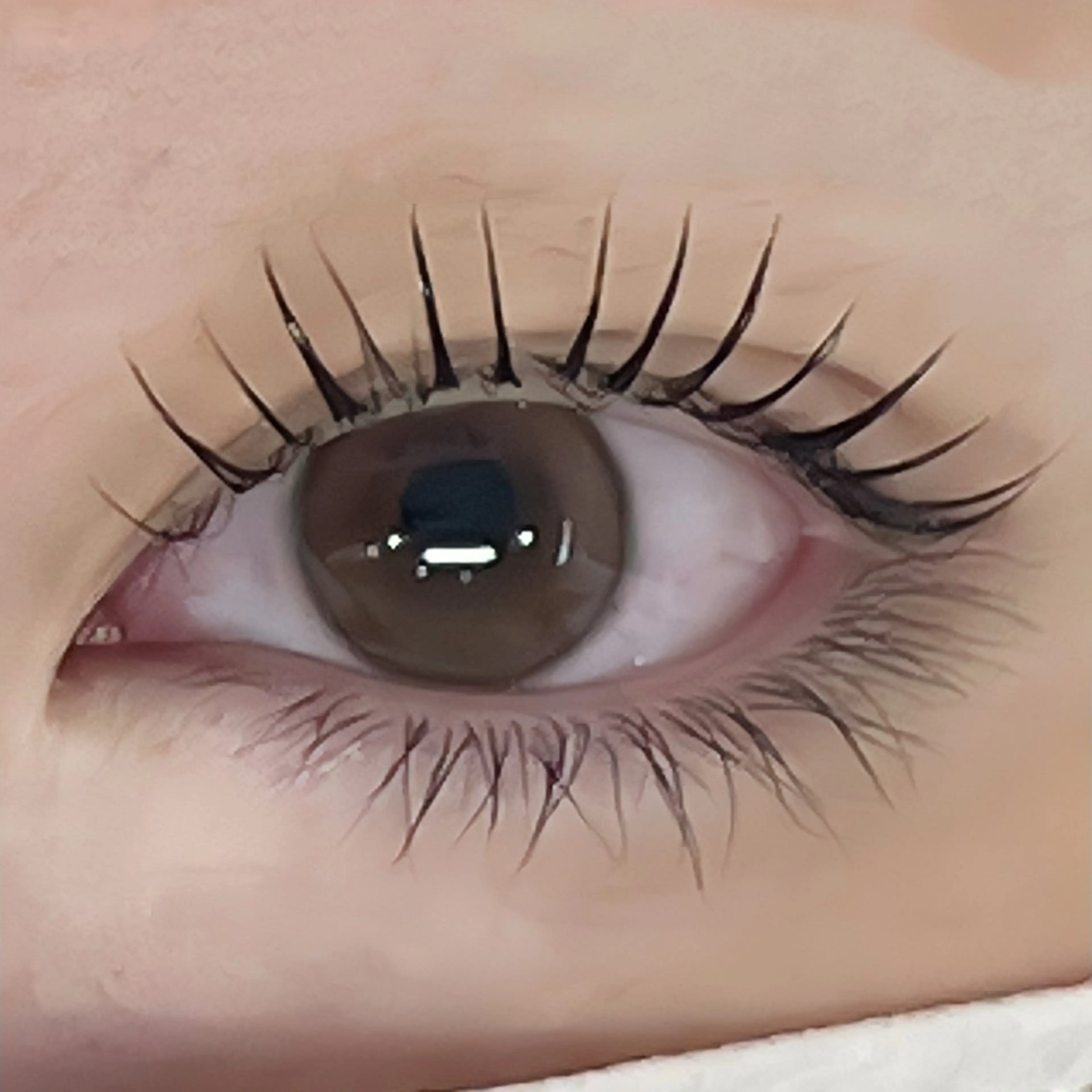 12月限定❗️似合わせまつ毛パーマ上+美容液コーティング付き💗の写真