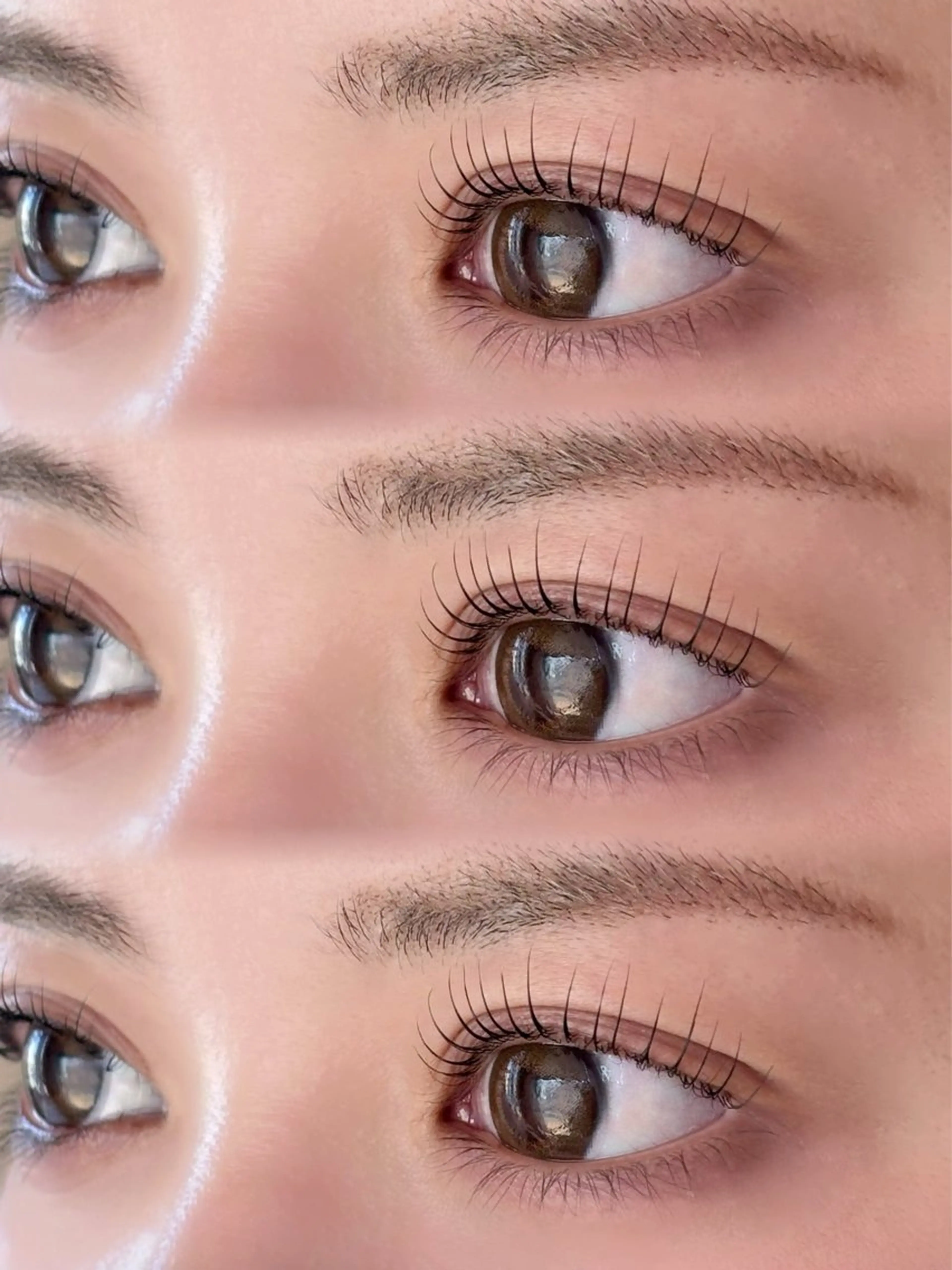 ‼️美容学生限定‼️次世代まつげパーマの写真