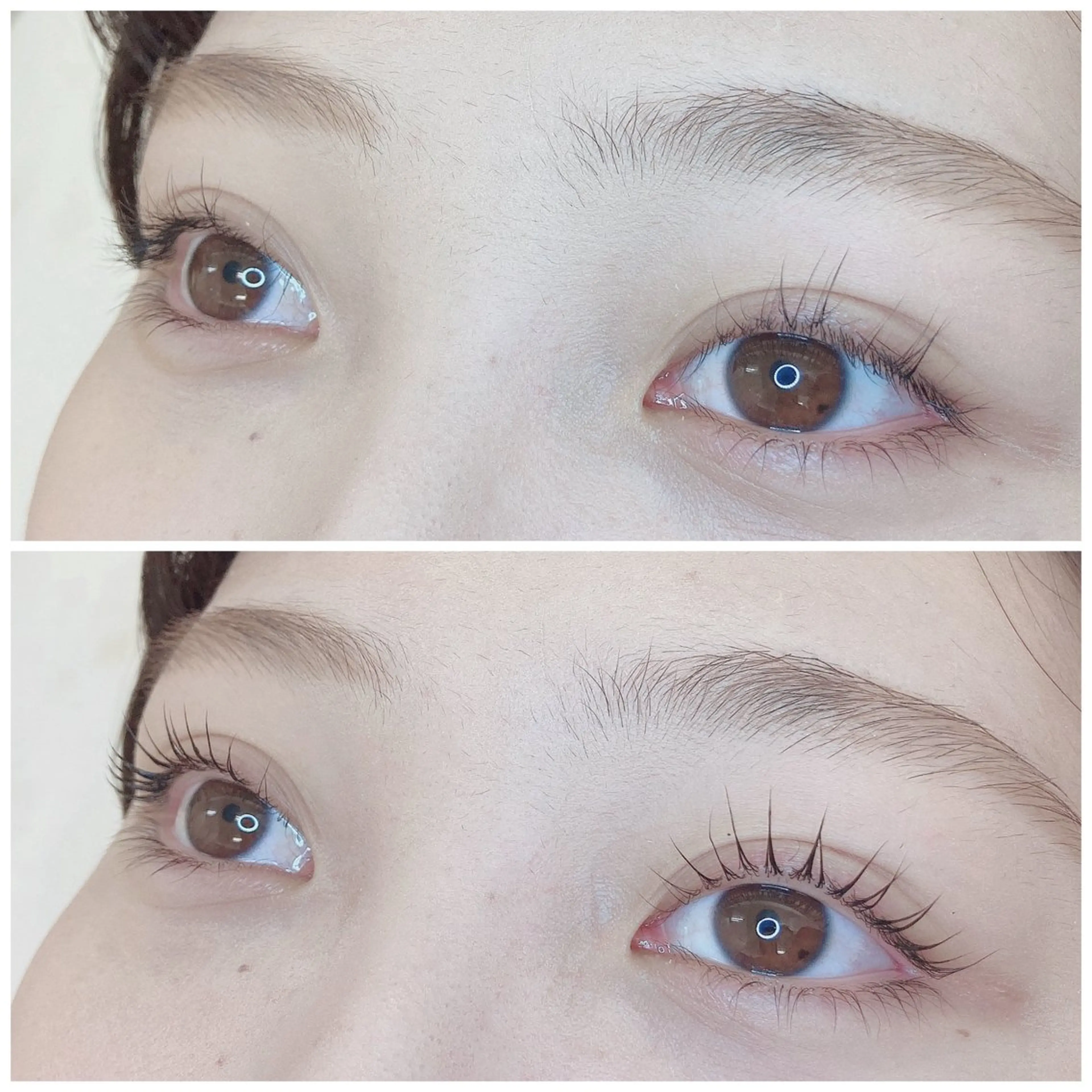 マツエク・マツパ TIARA池袋西口店 店長YASUKA💐のマツエク・マツパデザイン