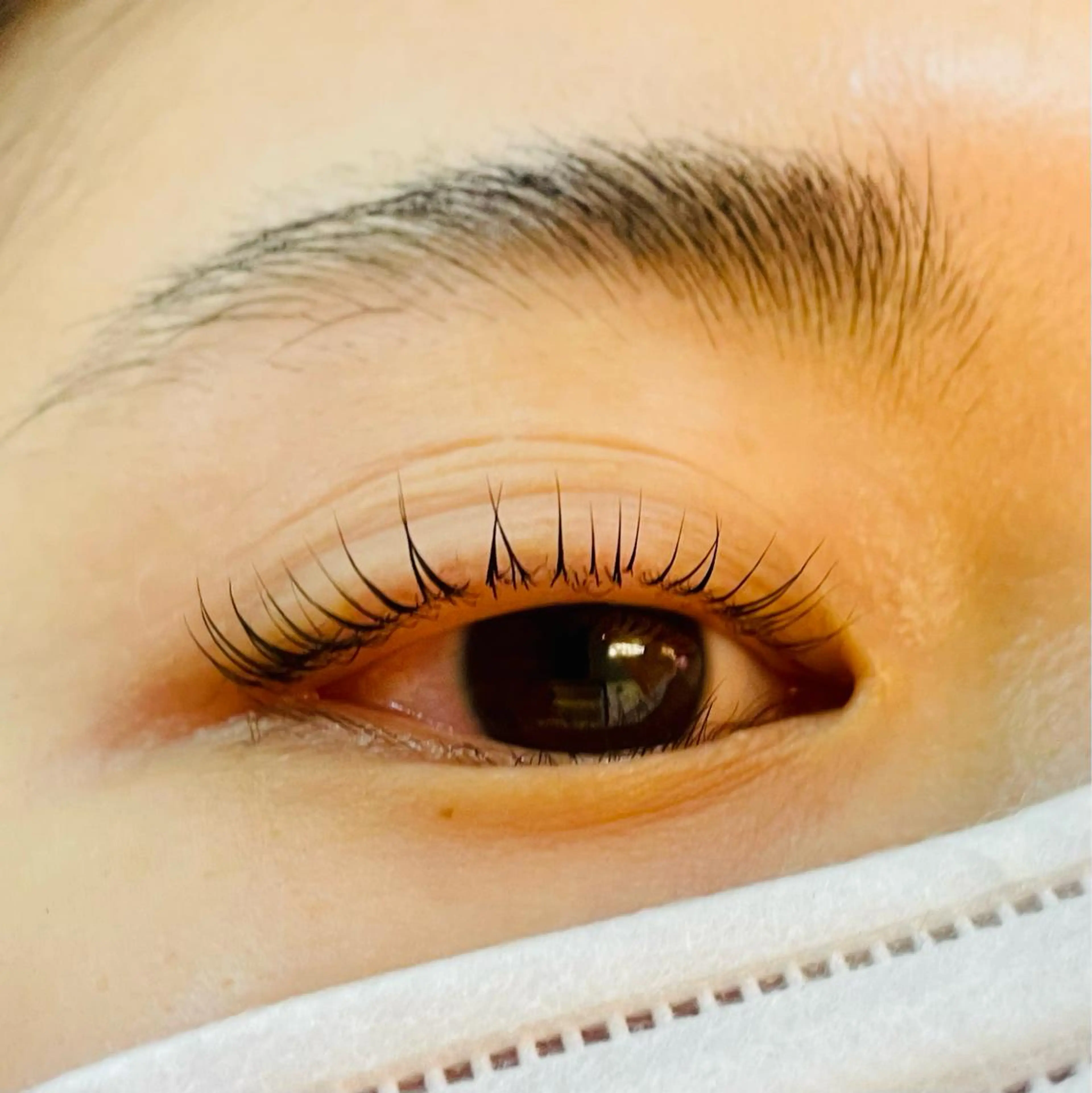 ラッシュリフト保湿トリートメント付き🌟受付18時半まで！の写真