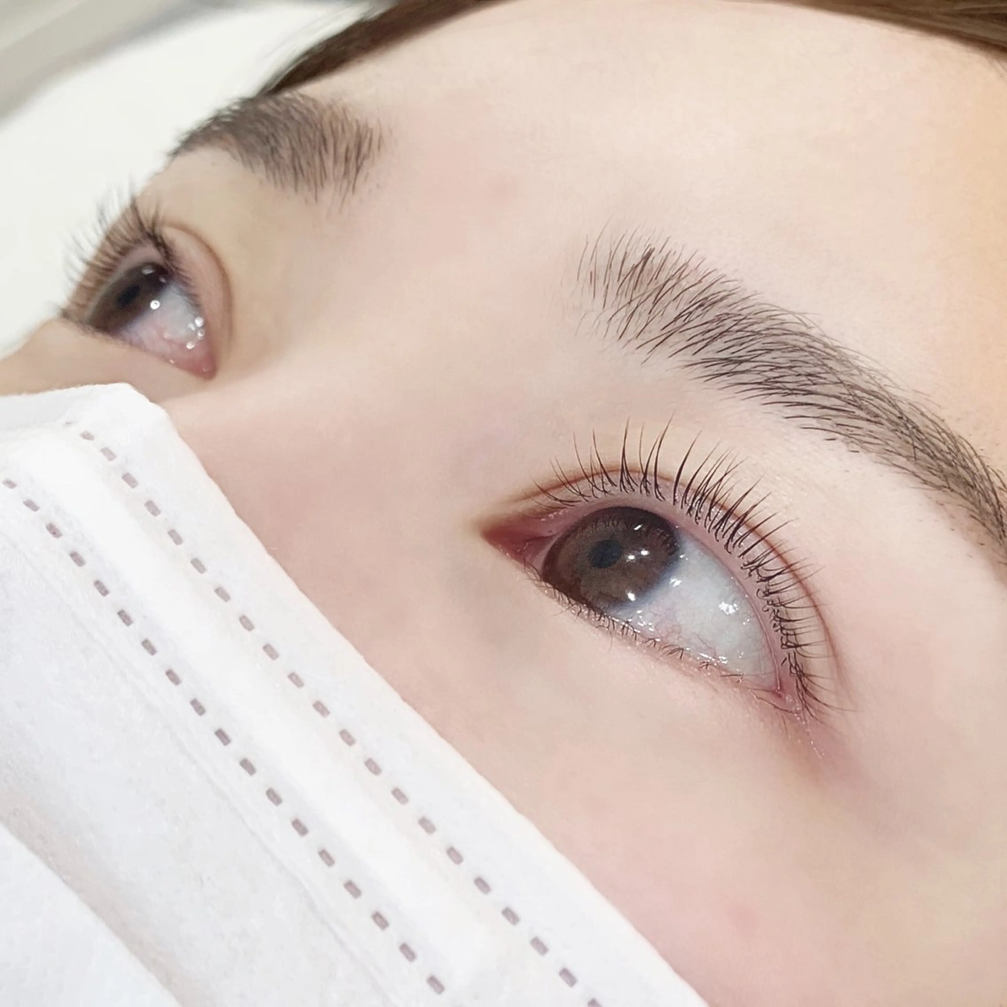 新規☆パリジェンヌラッシュリフト　¥5000の写真