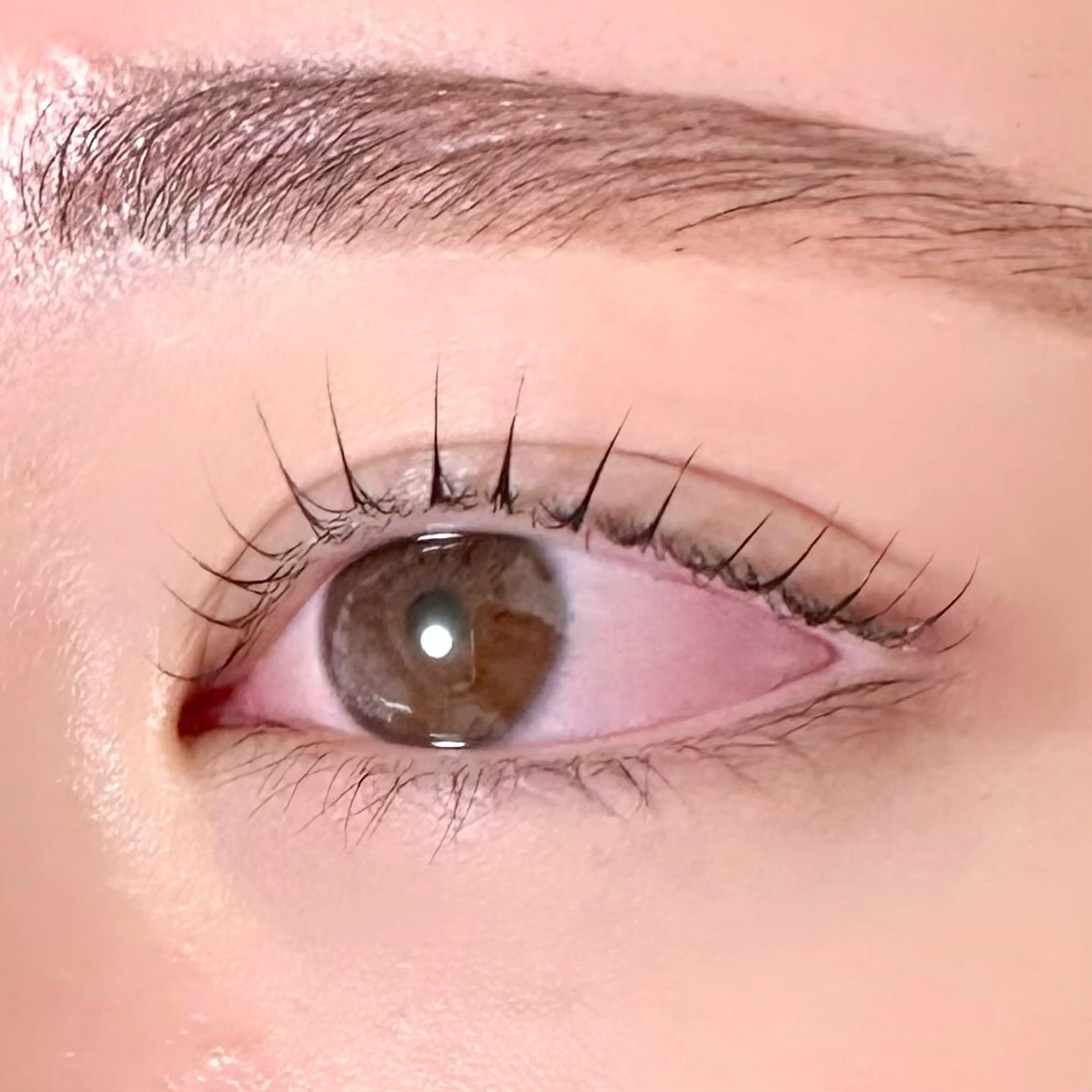 マツエク・マツパ 束感まつ毛 韓国風マツエク パリジェンヌラッシュリフト まつげパーマ 一重×まつ毛パーマ 渋谷／束感まつげ パーマ／YUKIのマツエク・マツパデザイン