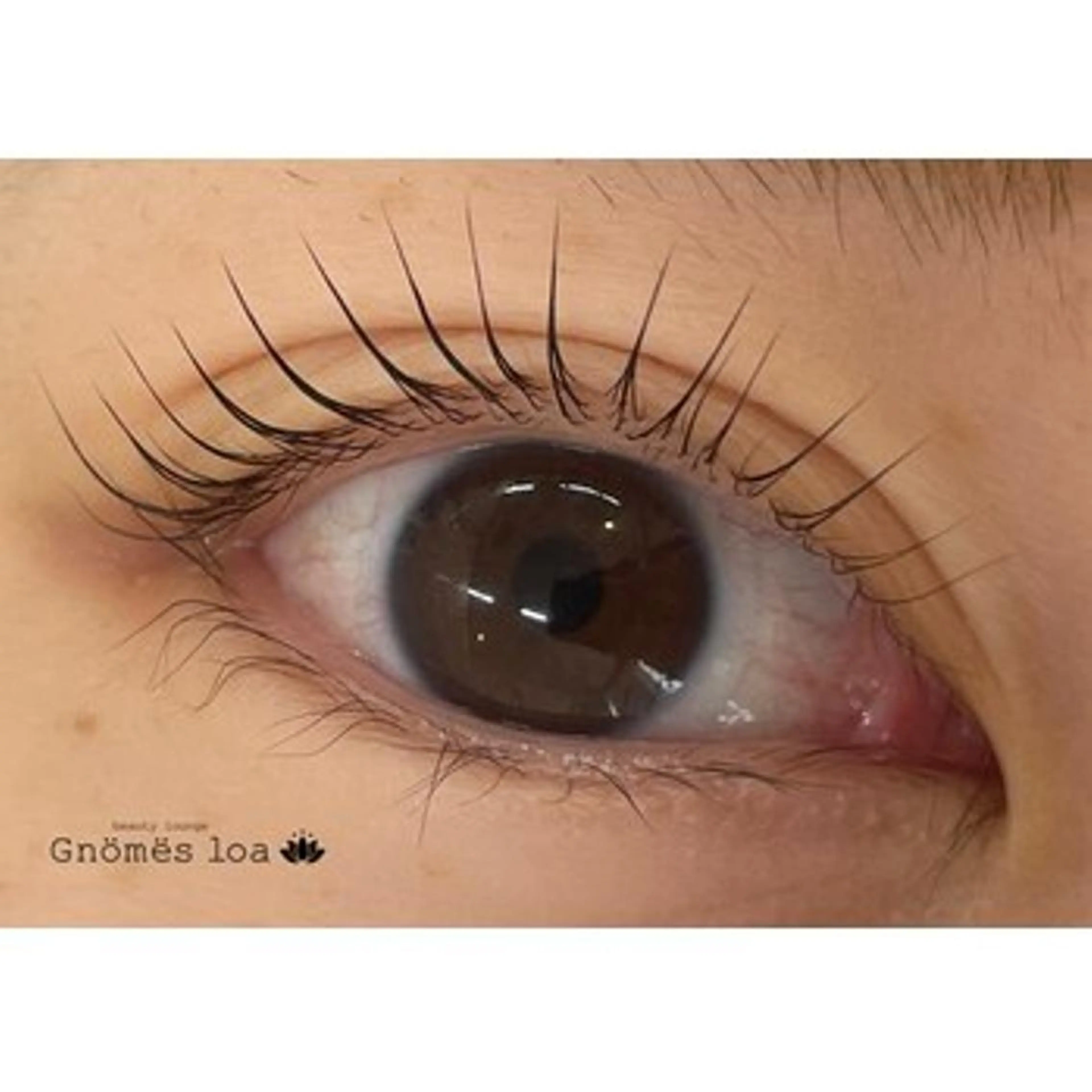 マツエク・マツパ マツパ 今関 美穂の眉毛・アイブロウイメージ