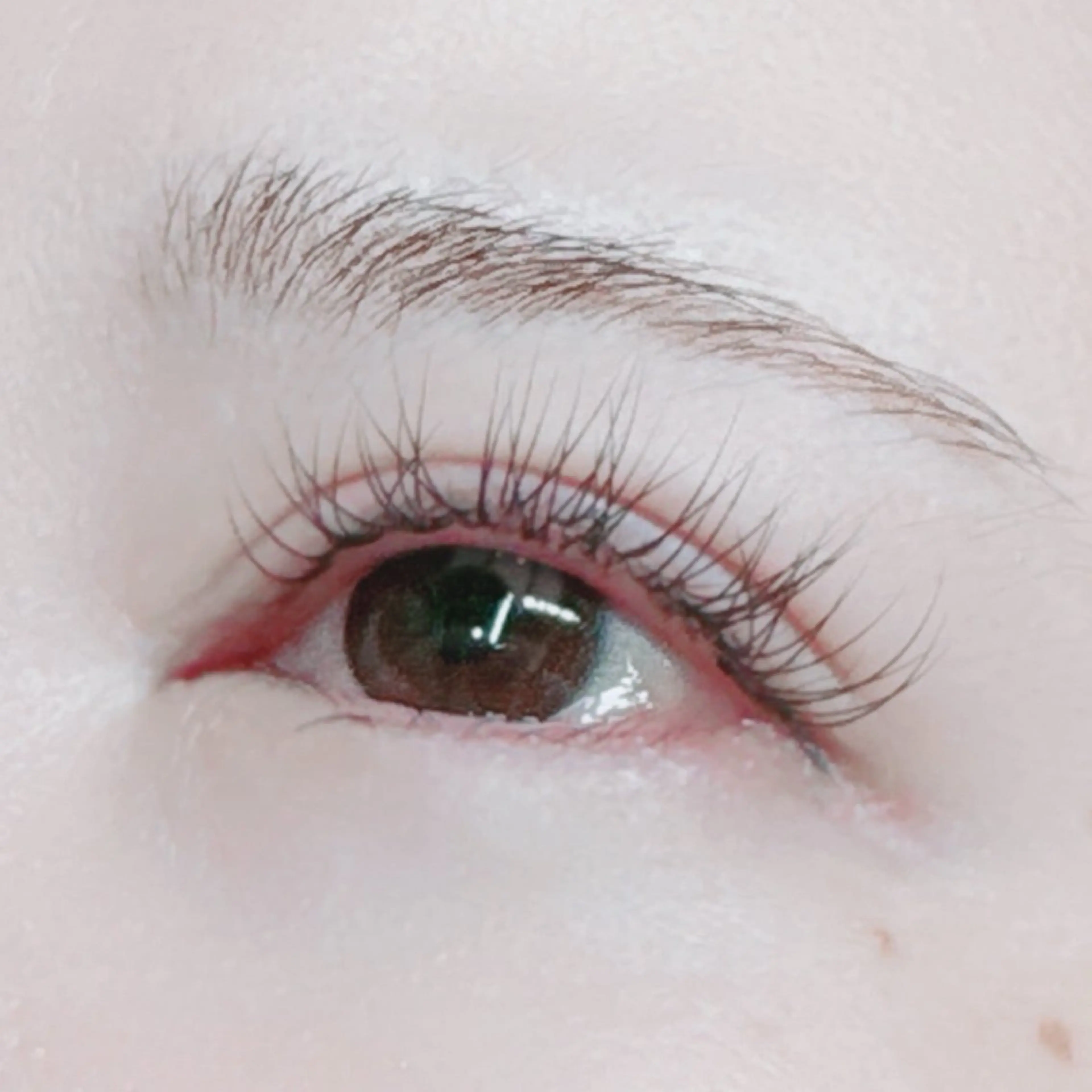 マツエク・マツパ MAQUIA志木店所属・MAQUIA志木店 太田のその他イメージ