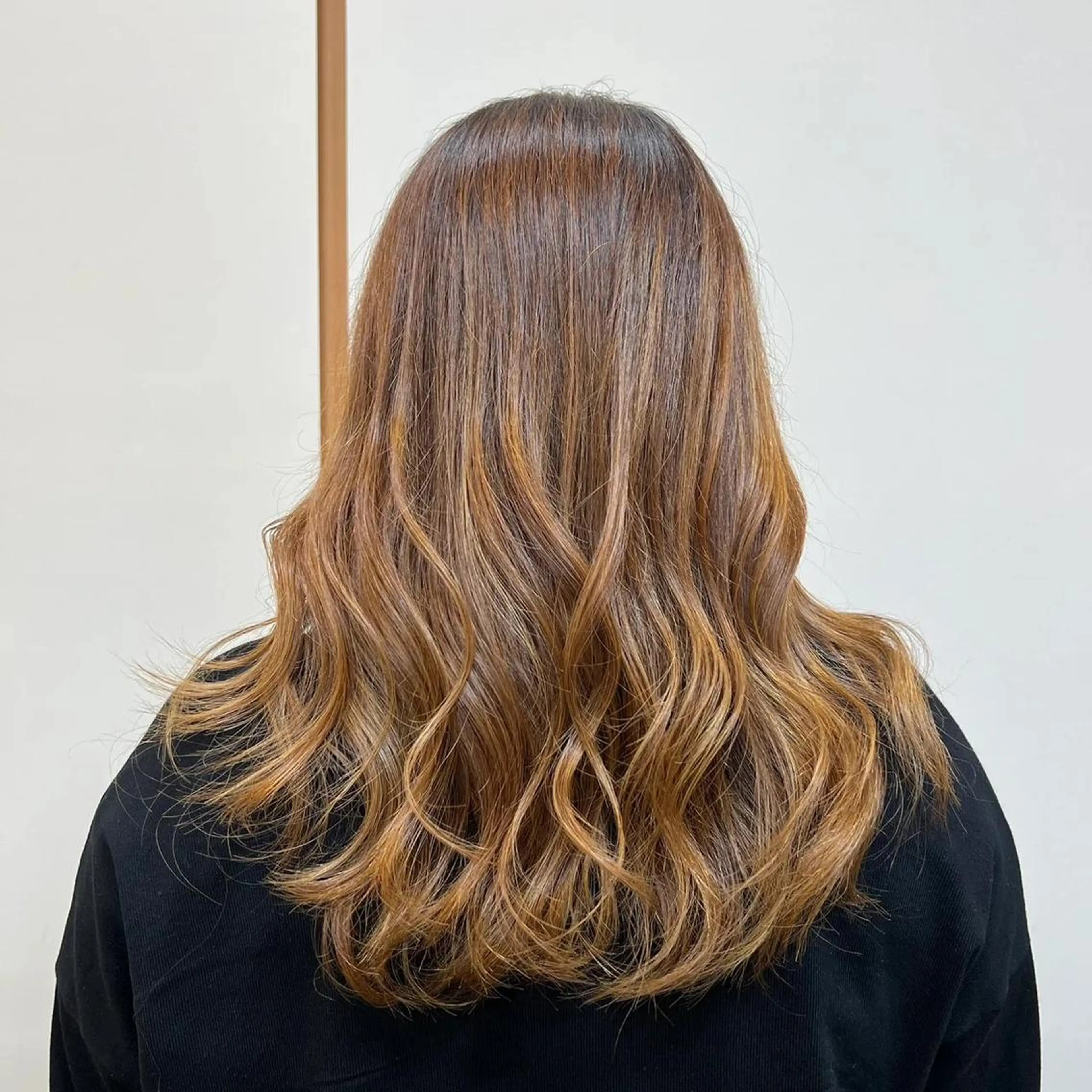 カットモデルの写真