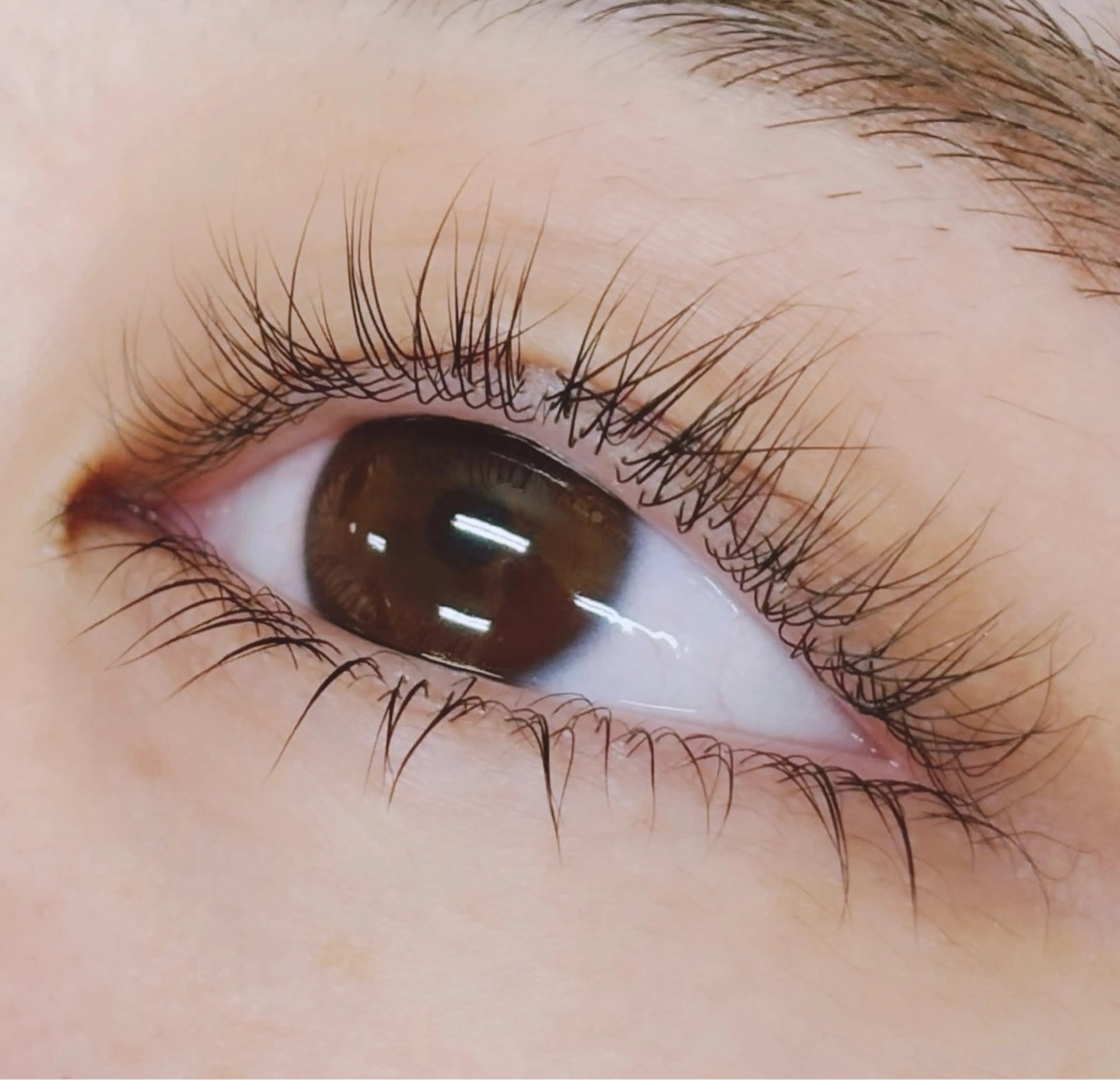 マツエク・マツパ パリジェンヌラッシュリフト 下まつげエクステ 一重×まつ毛パーマ MignonS こはるのヘアスタイル