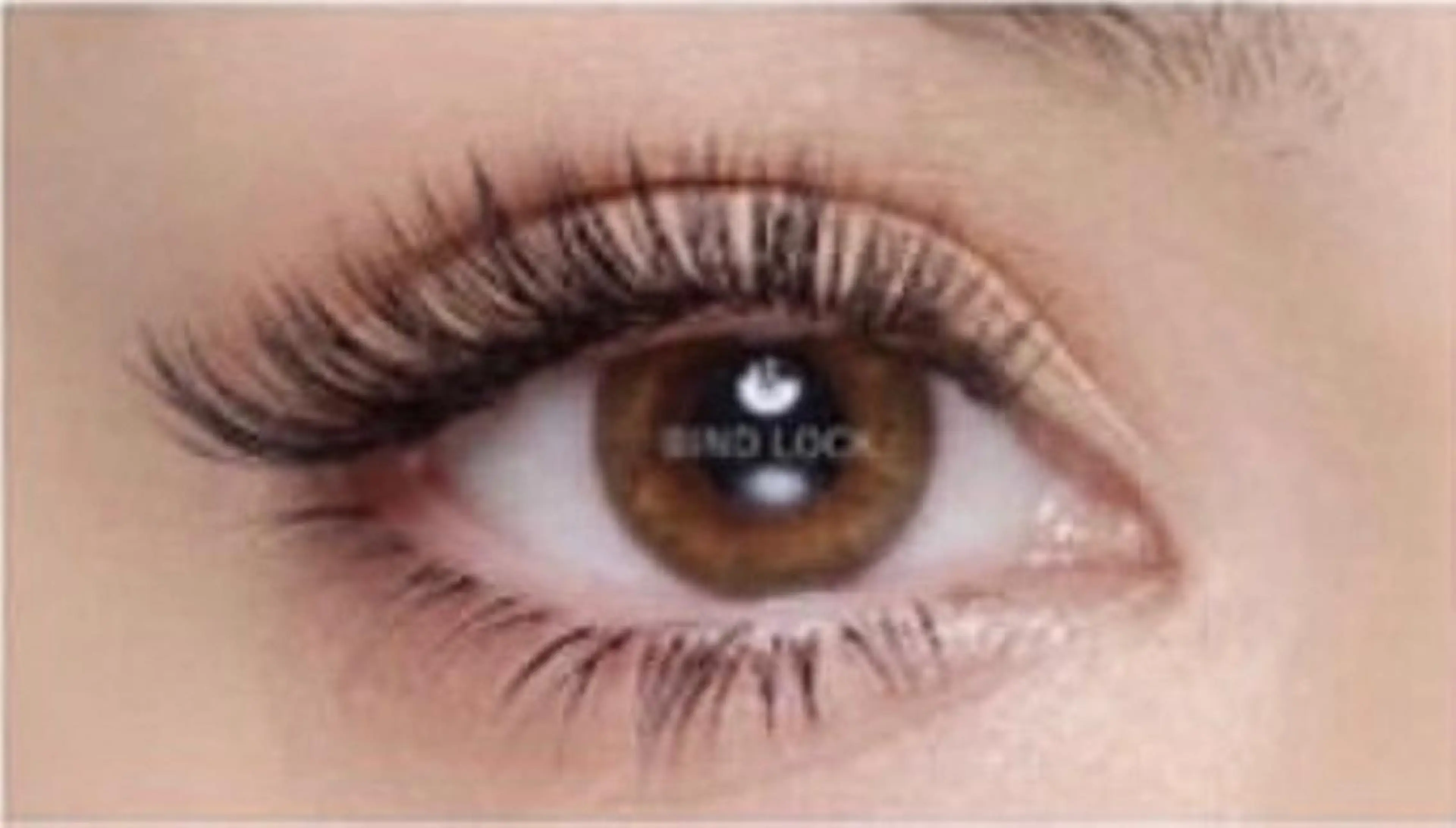 バインドロック60束【初回オフ無料】付け足し可🌷　※他店でも可の写真