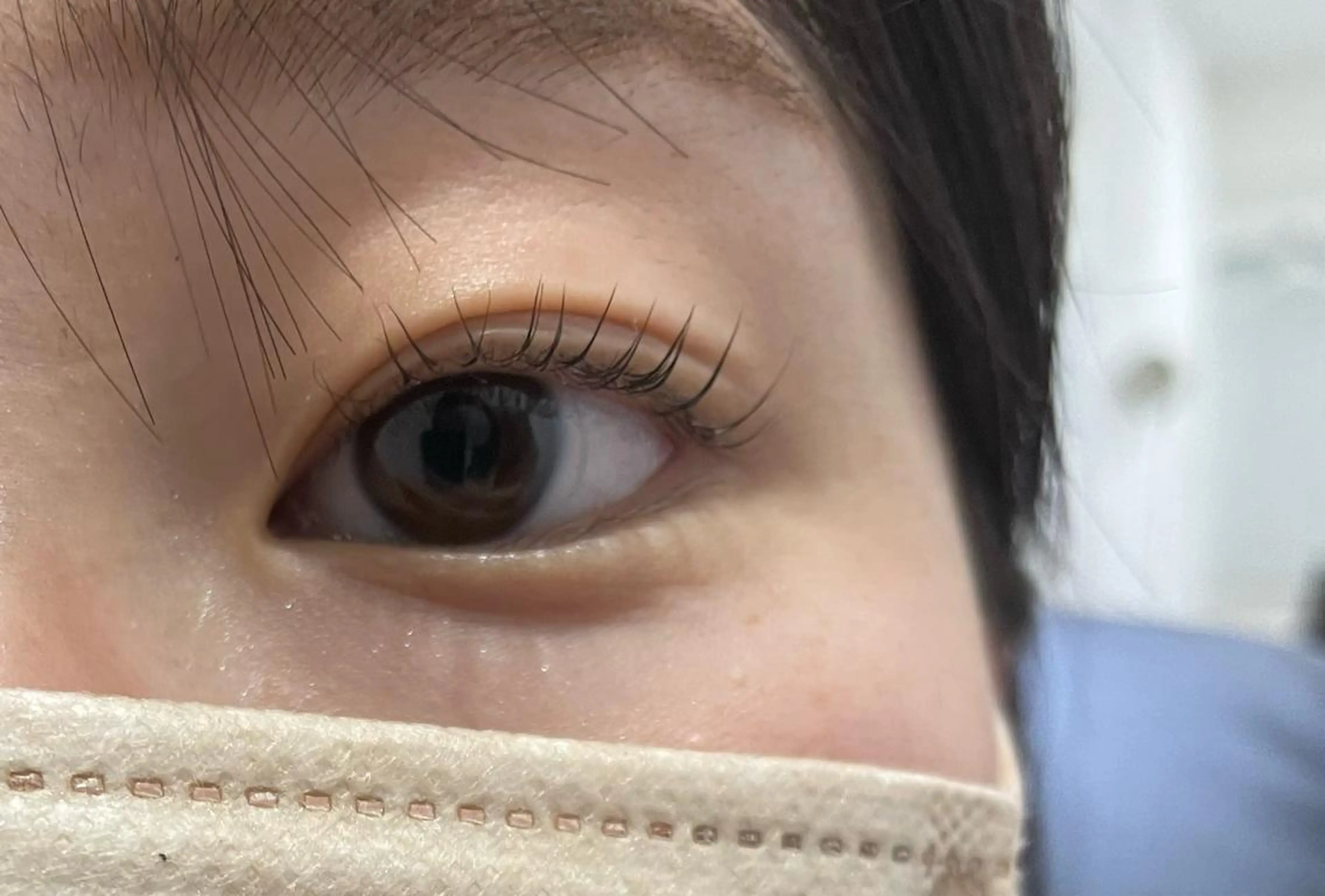 💙無料パリジェンヌモデル募集💙無料コーティング付き💙の写真