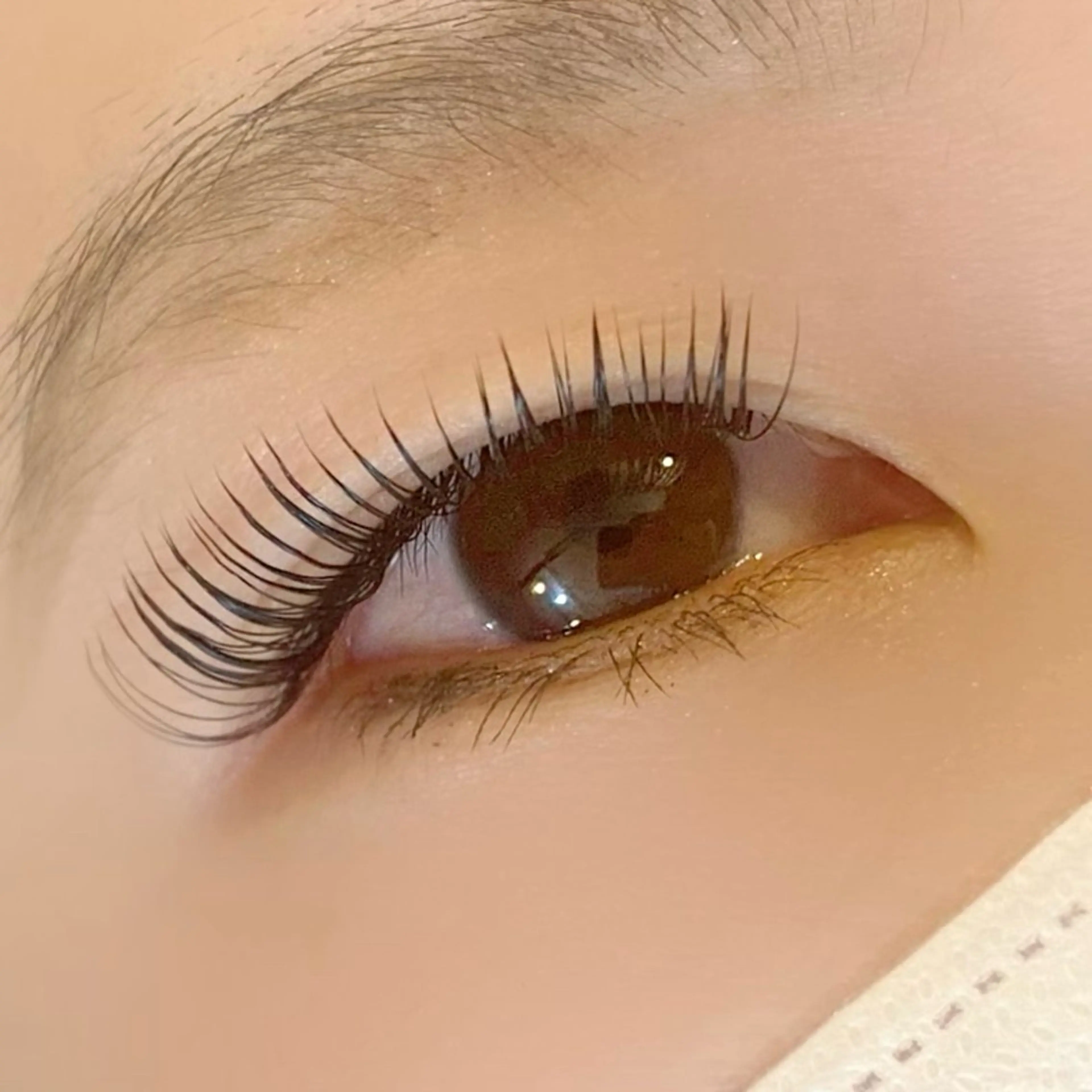 マツエク・マツパ バインドロック Butterfly川崎店所属・Butterfly 有薗の眉毛・アイブロウイメージ