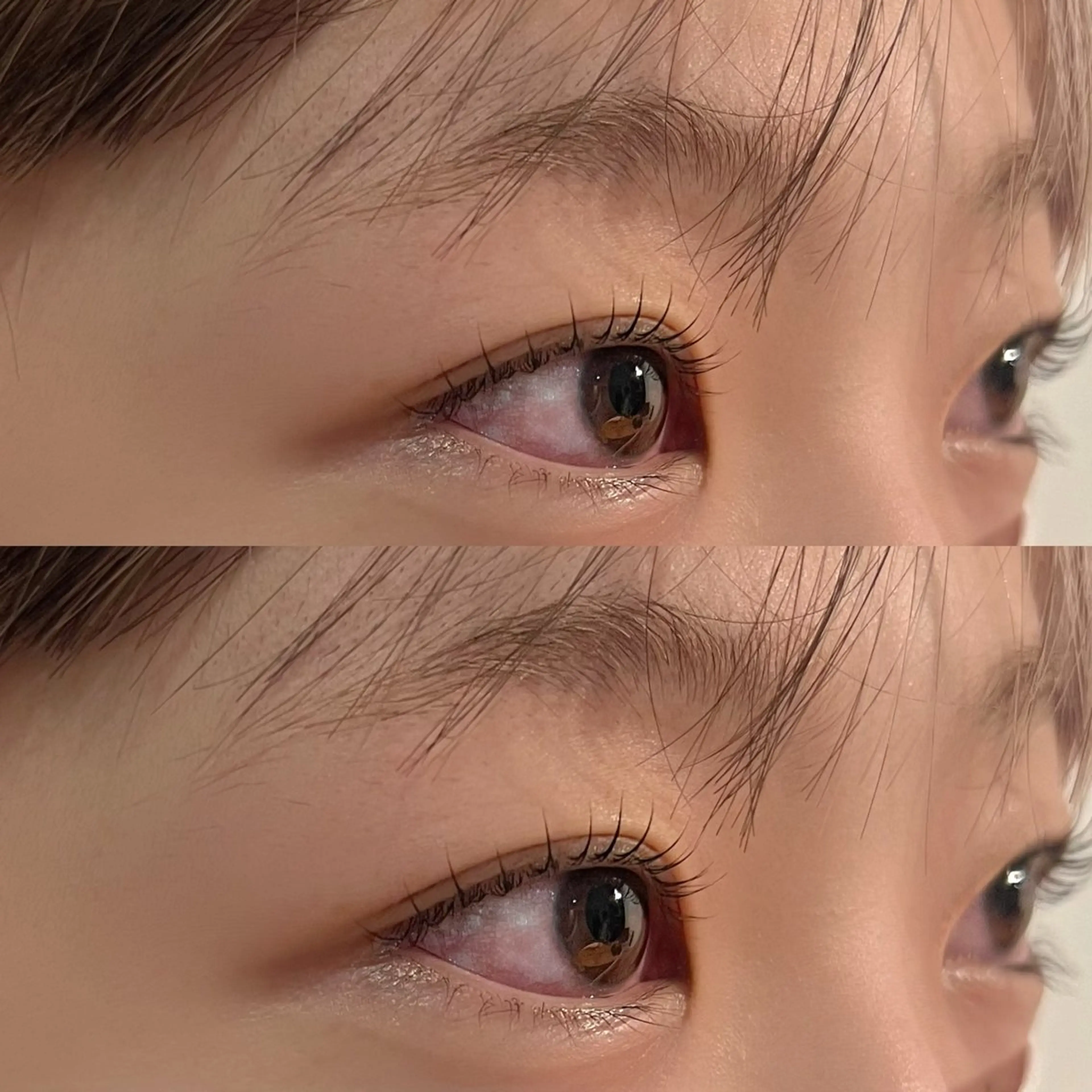 マツエク・マツパ 垢抜け眉WAX専門 ちゅるんまつげ|鎌倉の眉毛・アイブロウイメージ